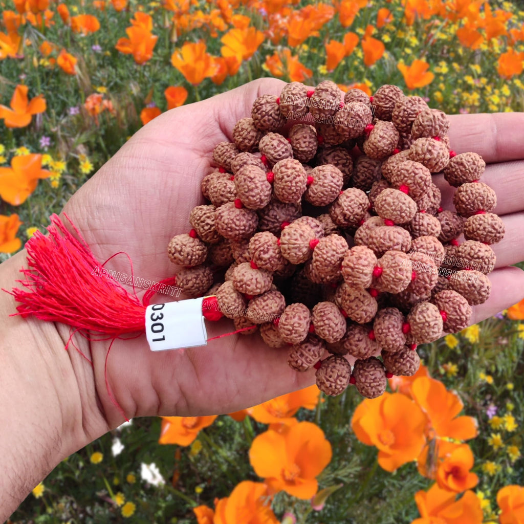 Apnisanskriti 9 Mukhi Rudraksha Mala 14-15mm - Spiritual Harmony and Healing Beads (Pack of 1)