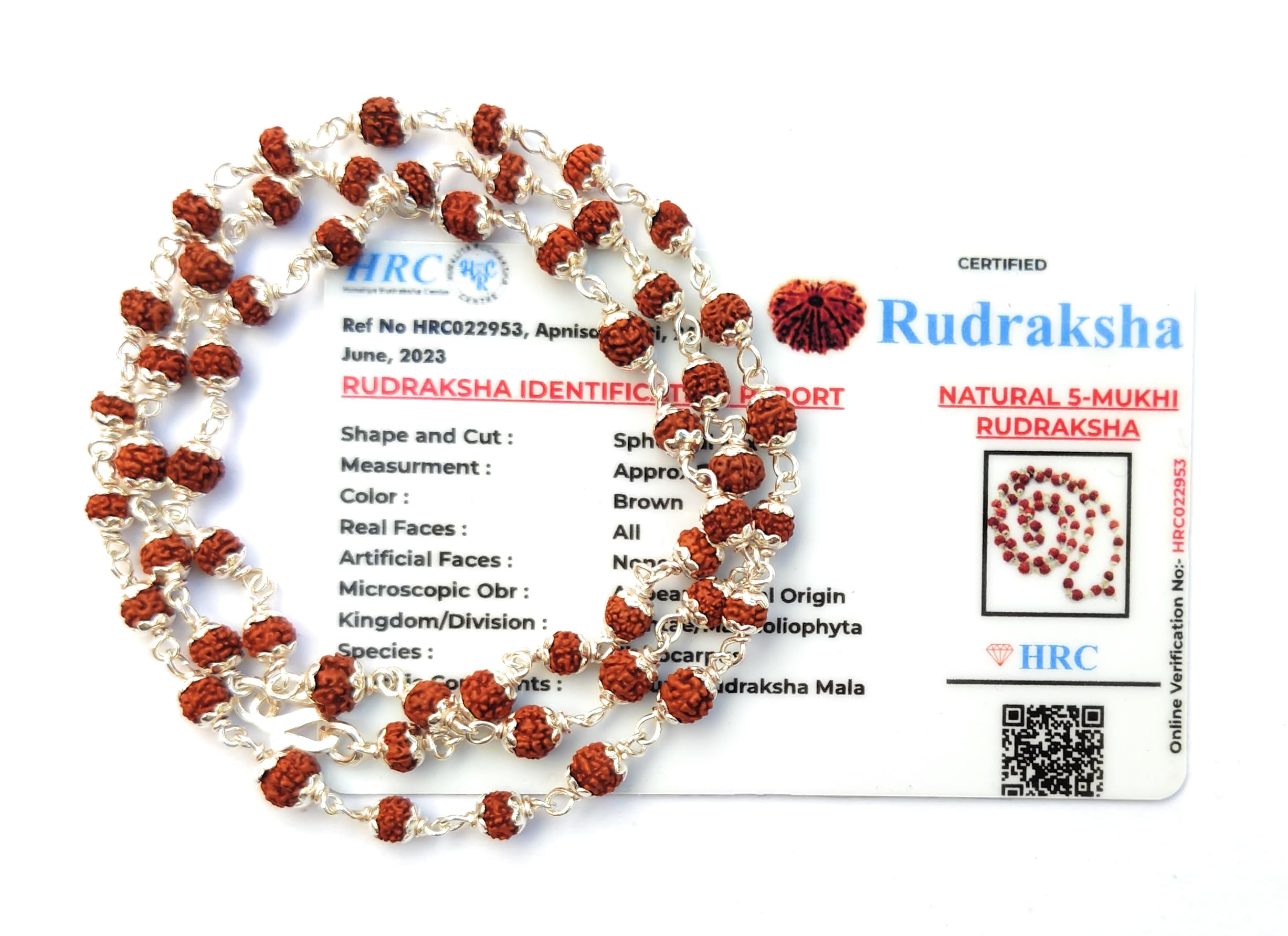 Apnisanskriti Premium Lab Certified Pure Silver Rudraksha Mala - Zero Size (Pack of 1)