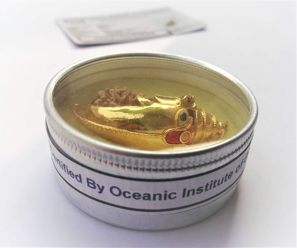 Apnisanskriti Ek Mukhi Rudraksha with Ganesha Padent- Brown - (One Face Rudraksh, Lab Certified) - pack of 1