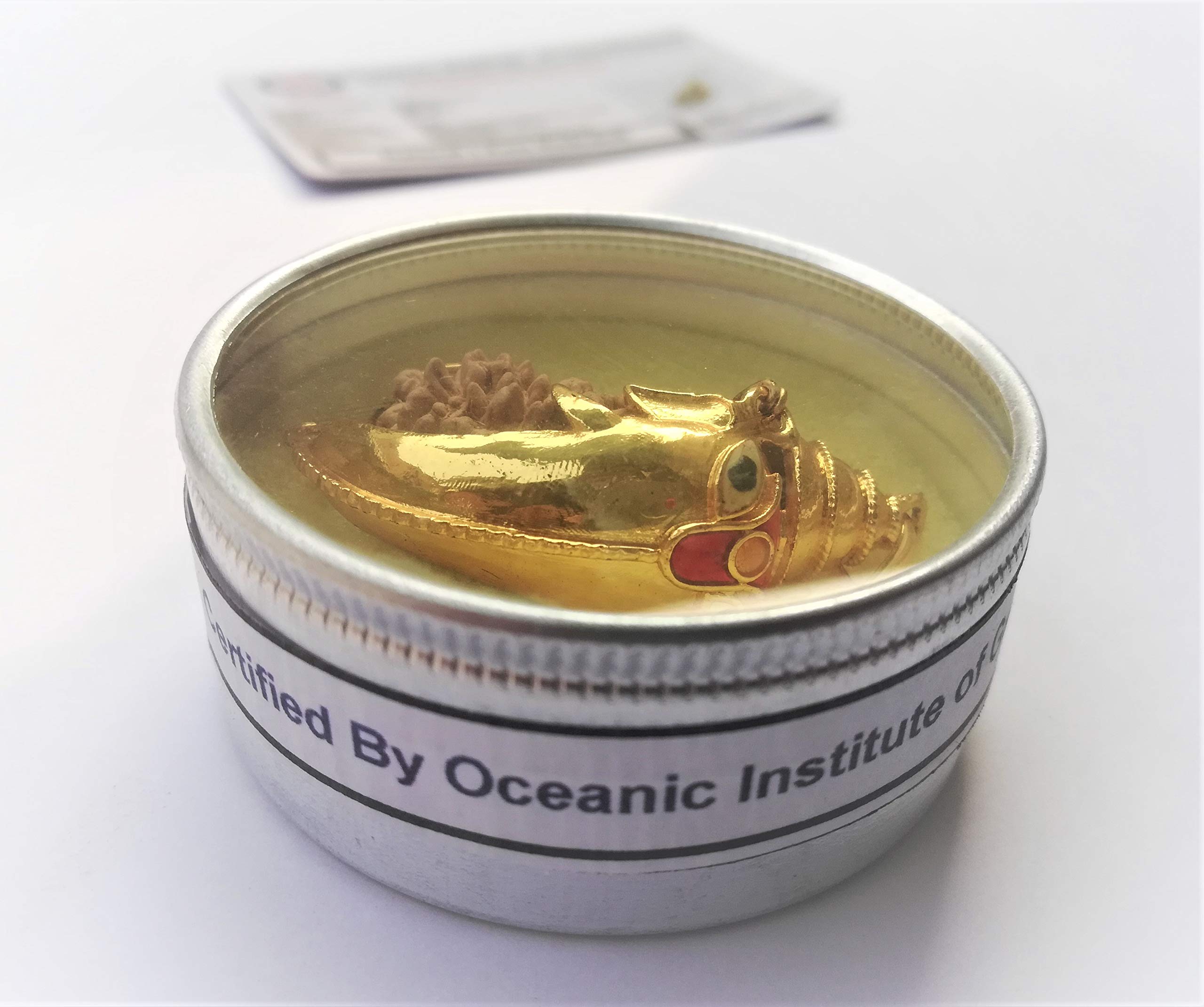 Apnisanskriti Ek Mukhi Rudraksha with Ganesha Padent- Brown - (One Face Rudraksh, Lab Certified) - pack of 1