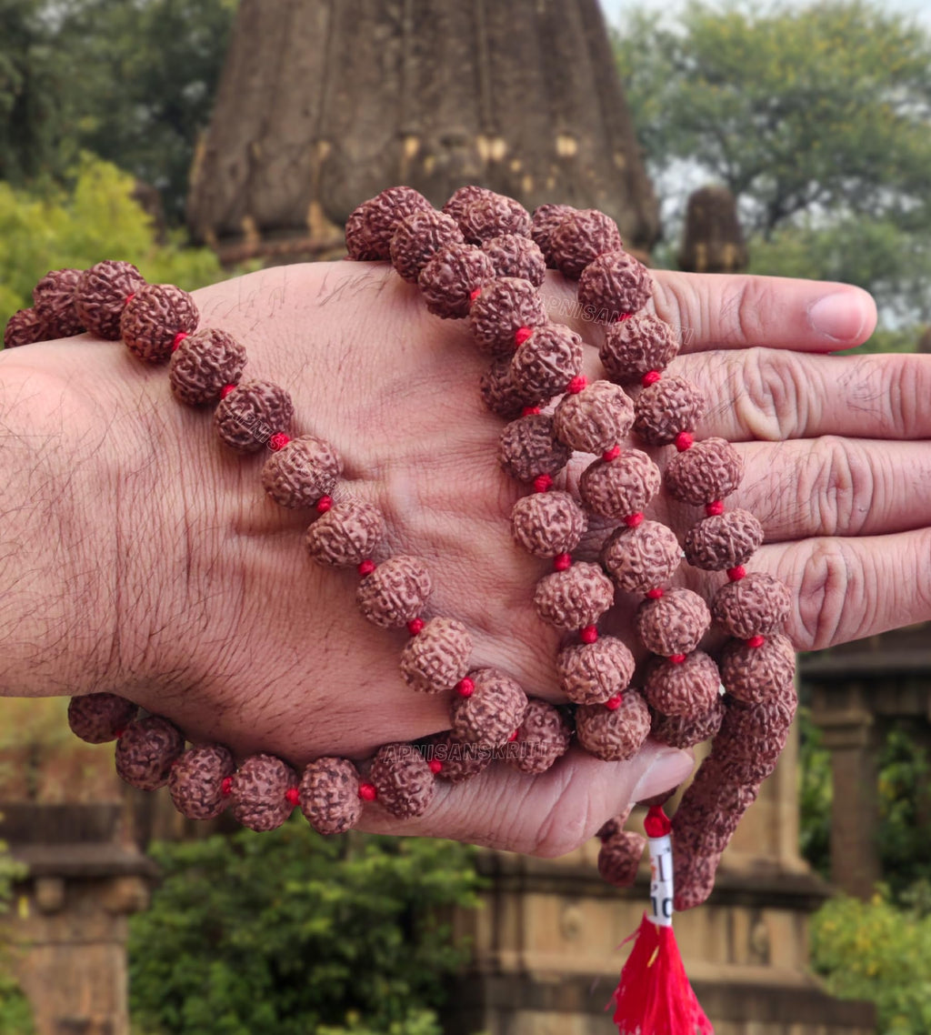 Apnisanskriti 8 Mukhi Rudraksha Mala 14-15mm - Enhance Spiritual Harmony and Healing (Pack of 1)