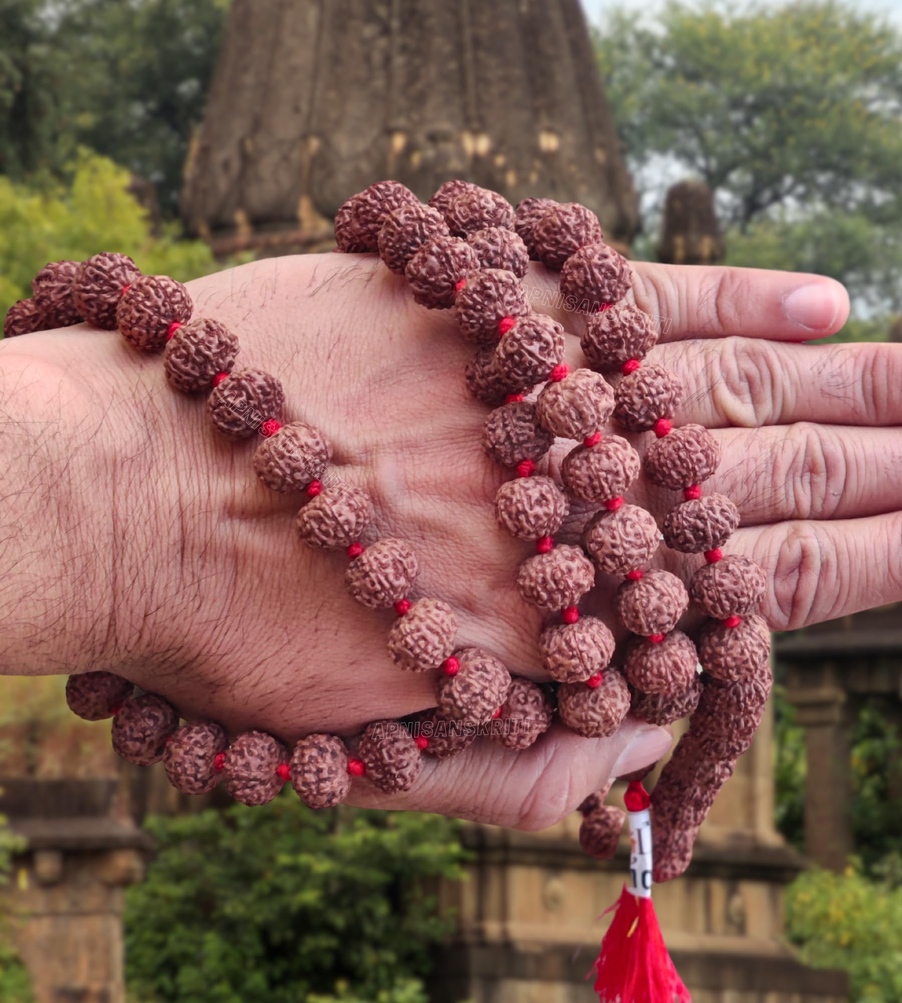 Apnisanskriti 8 Mukhi Rudraksha Mala 14-15mm - Enhance Spiritual Harmony and Healing (Pack of 1)