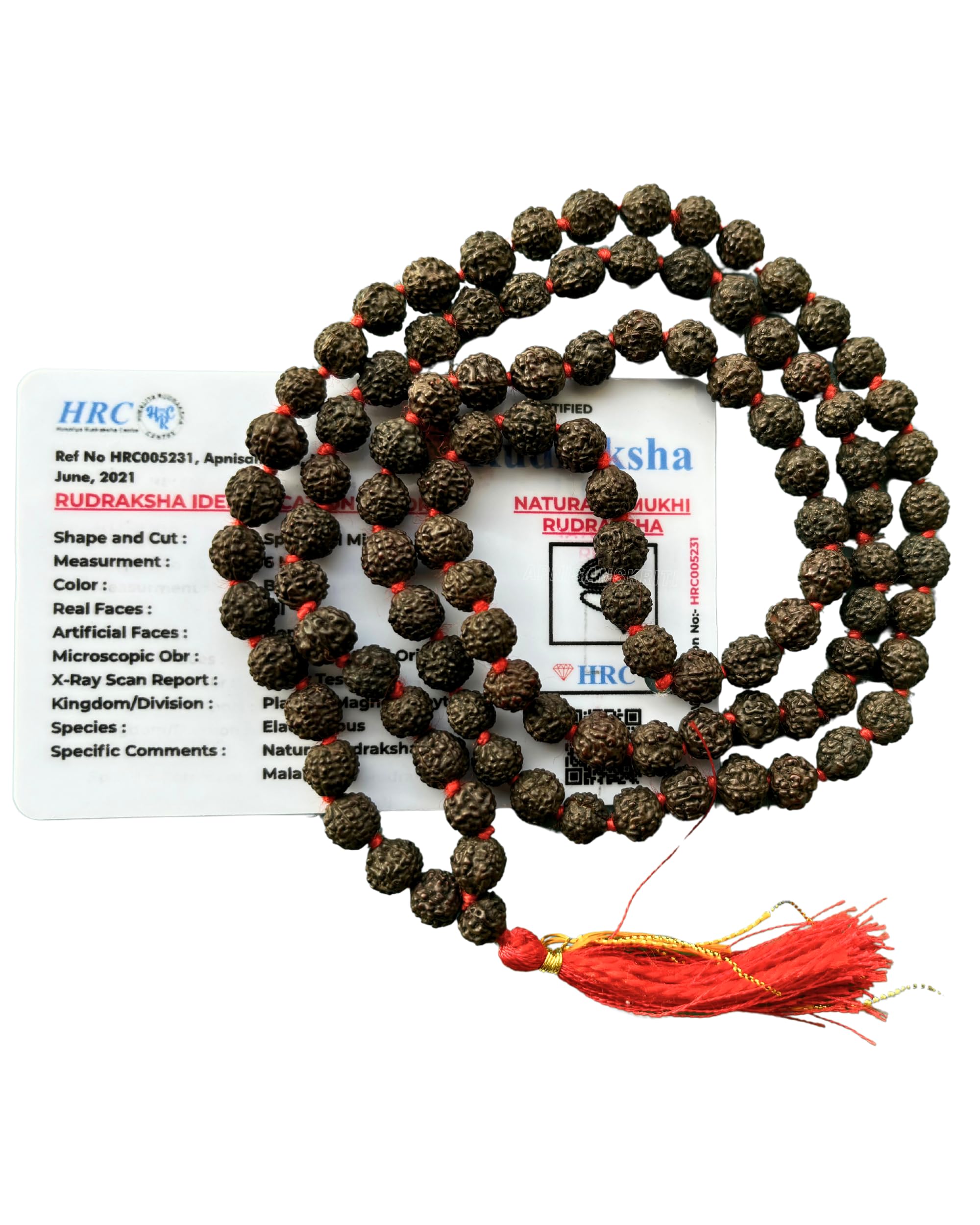 Apnisanskriti 5 Mukhi Black Rudraksha Mala (108+1 Beads, Lab Certified) Natural Black Rudraksha Beads