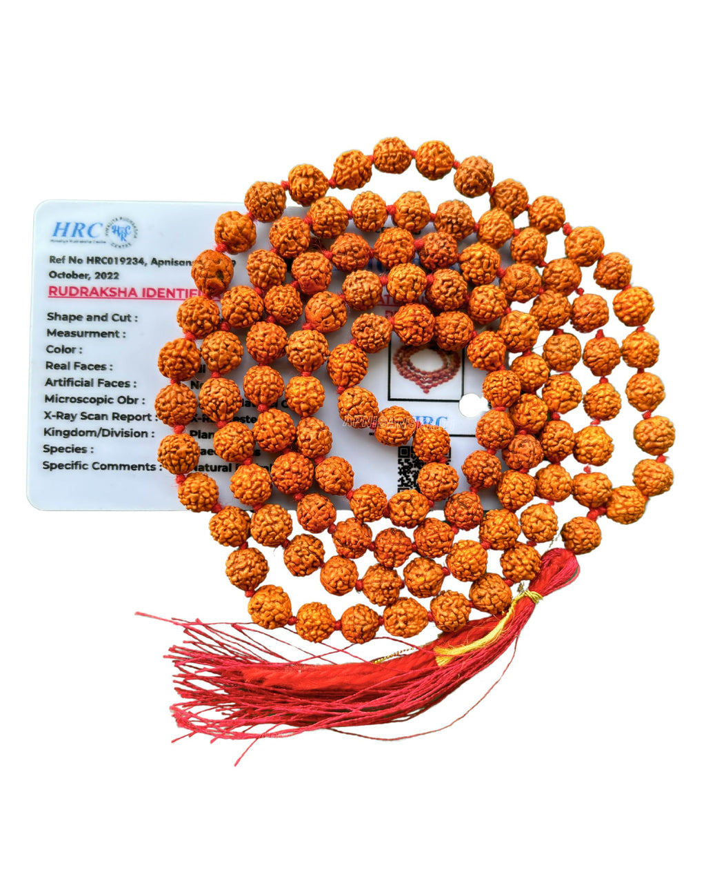 Apnisanskriti 5 Mukhi Rudraksha Mala for Men/Women Wearing (108+1, Lab Certified, Natural Brown Rudraksha Beads)