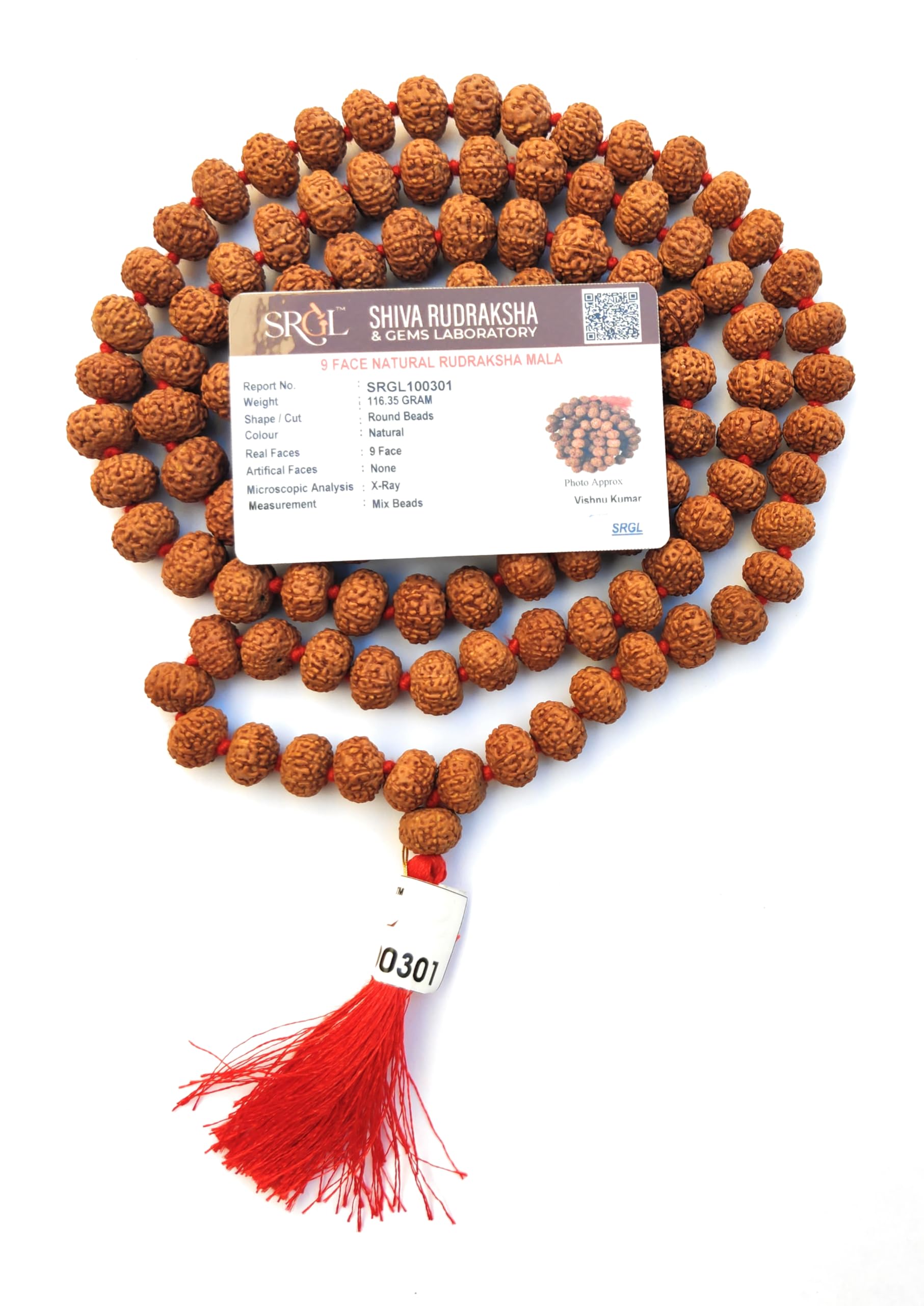 Apnisanskriti 9 Mukhi Rudraksha Mala 14-15mm - Spiritual Harmony and Healing Beads (Pack of 1)