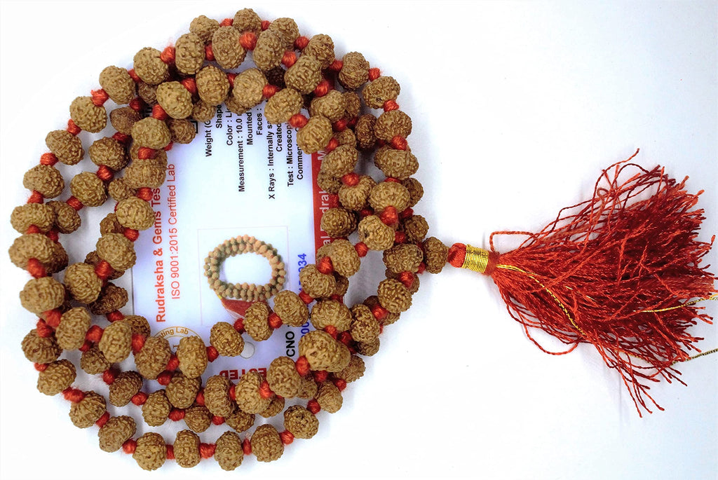 Apnisanskriti 2-10 Mukhi Rudraksha Beads Mala (108 Beads, Lab Certified) - Natural Rudraksha Beads - Pack of 1