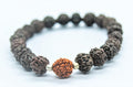 Apnisanskriti Designer Rudraksha Bracelet - Pack of 1