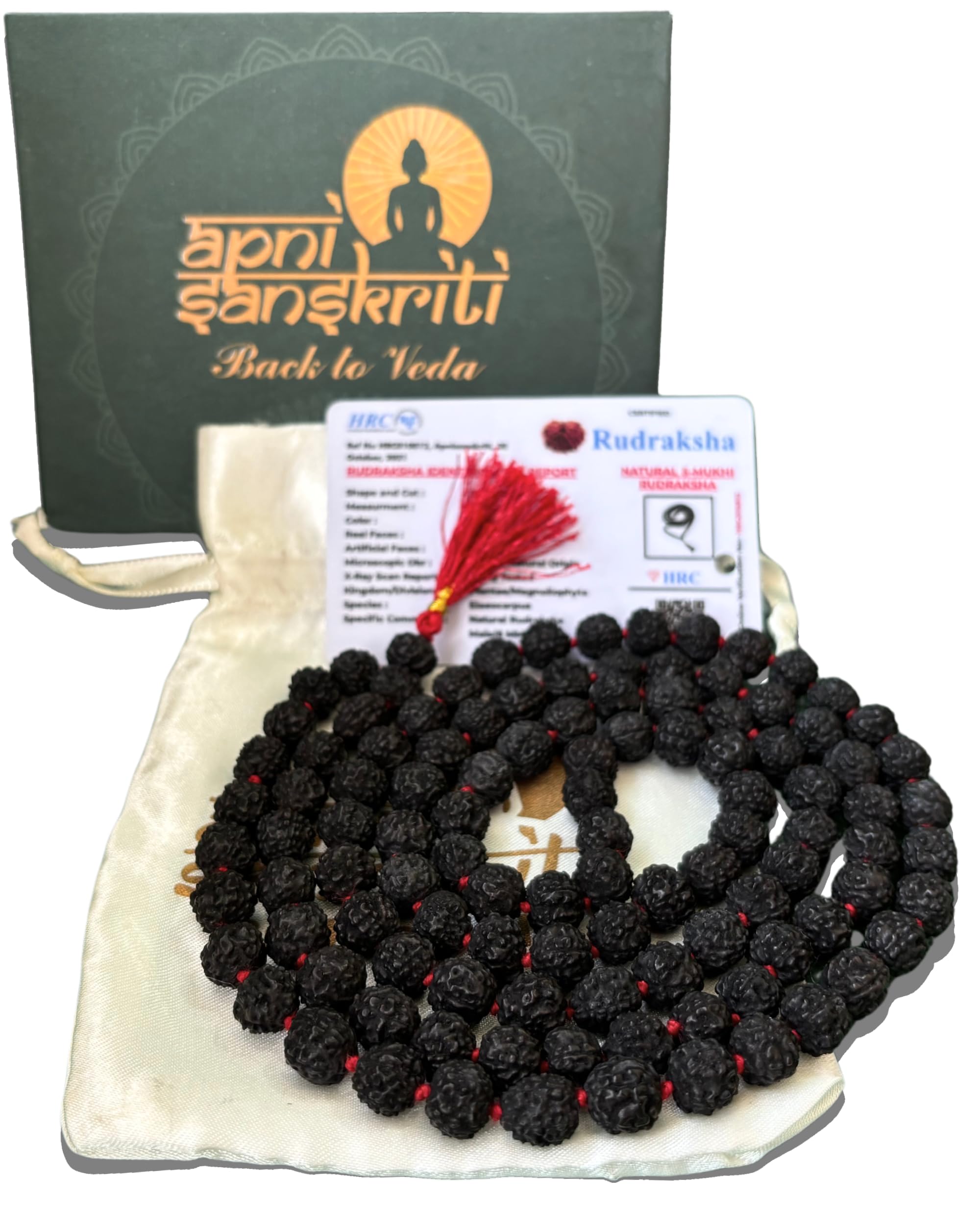 Apnisanskriti 5 Mukhi Black Rudraksha Mala (108+1 Beads, Lab Certified) Natural Black Rudraksha Beads