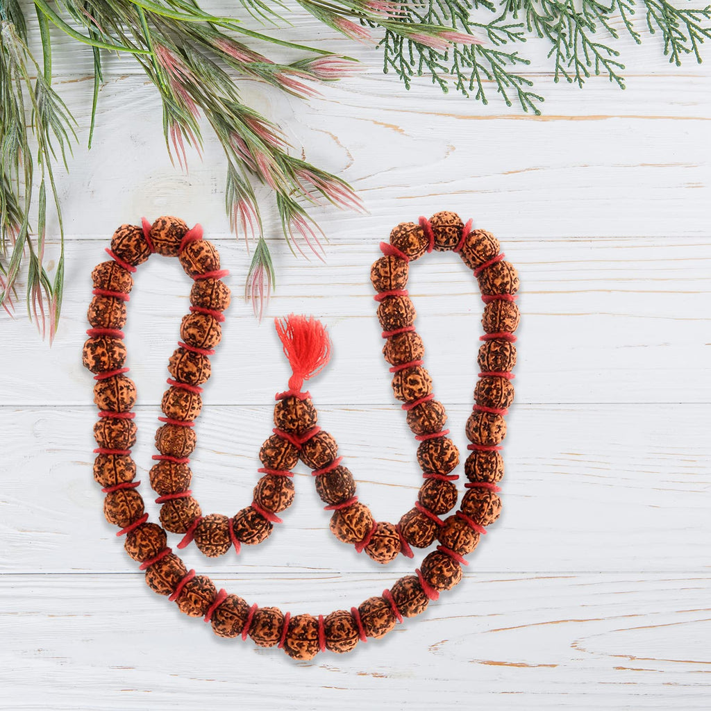 Apnisanskriti 5 Mukhi Rudraksha Kantha Mala for Jaap and Men/Women Wearing (20 mm, 54 Beads, Natural Colour Rudraksha Beads, Lab Certified) - Pack of 1