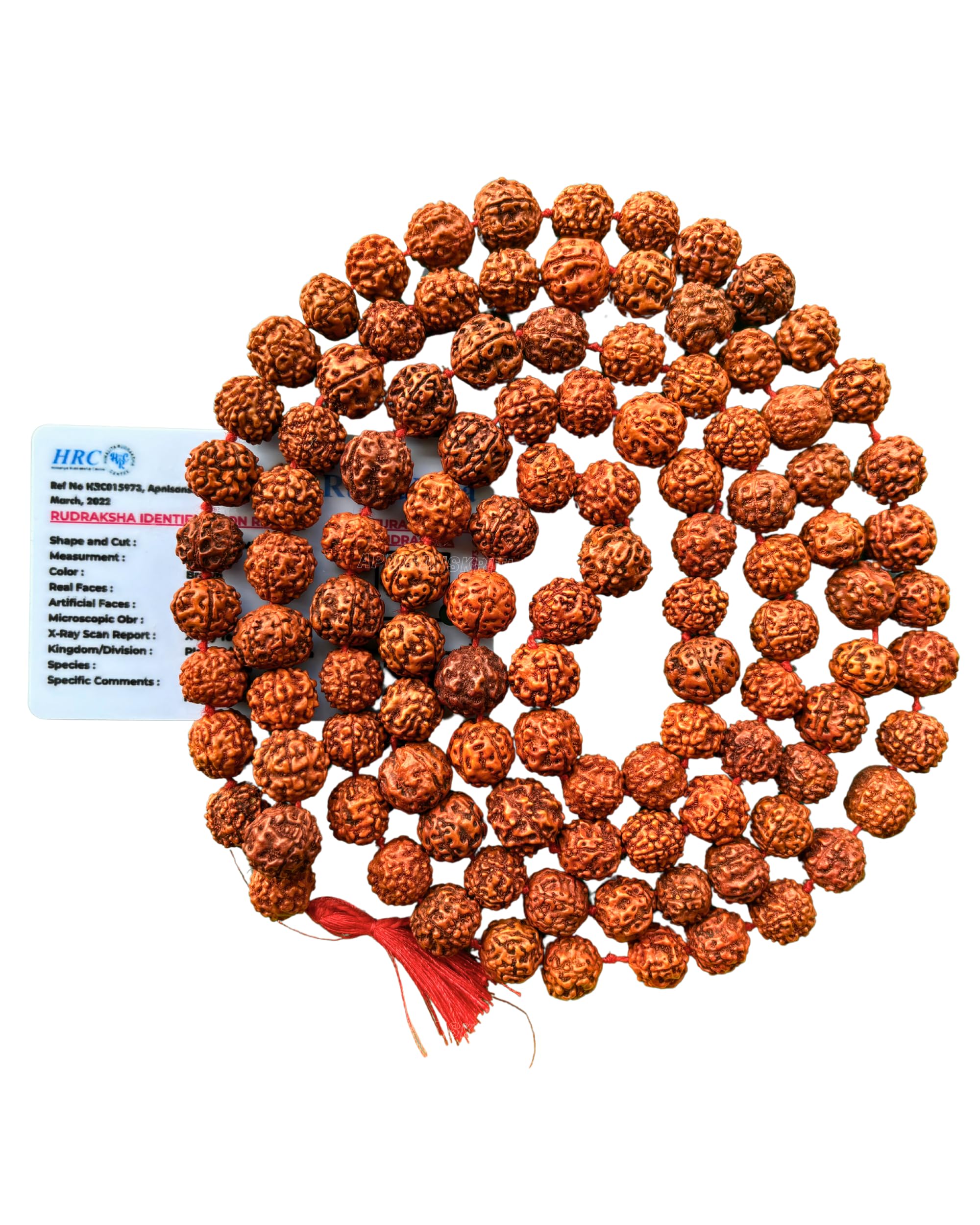 Apnisanskriti 5 Mukhi Rudraksha Mala for Men/Women Wearing (108+1, Lab Certified, Natural Brown Rudraksha Beads)