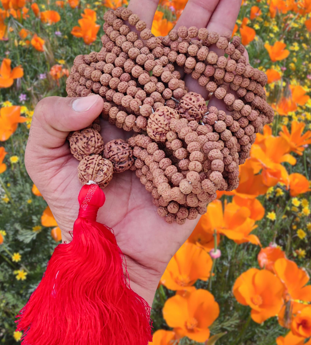 Apnisanskriti Premium Rudrakasha Mala 1008 Beads Mala Premium (Nepali Quality) for Men and Women - Pack of 1