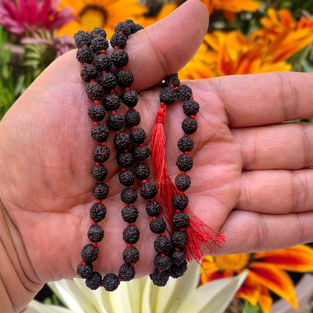 Apnisanskriti 5 Mukhi Black Rudraksha Mala (108+1 Beads, Lab Certified) Natural Black Rudraksha Beads