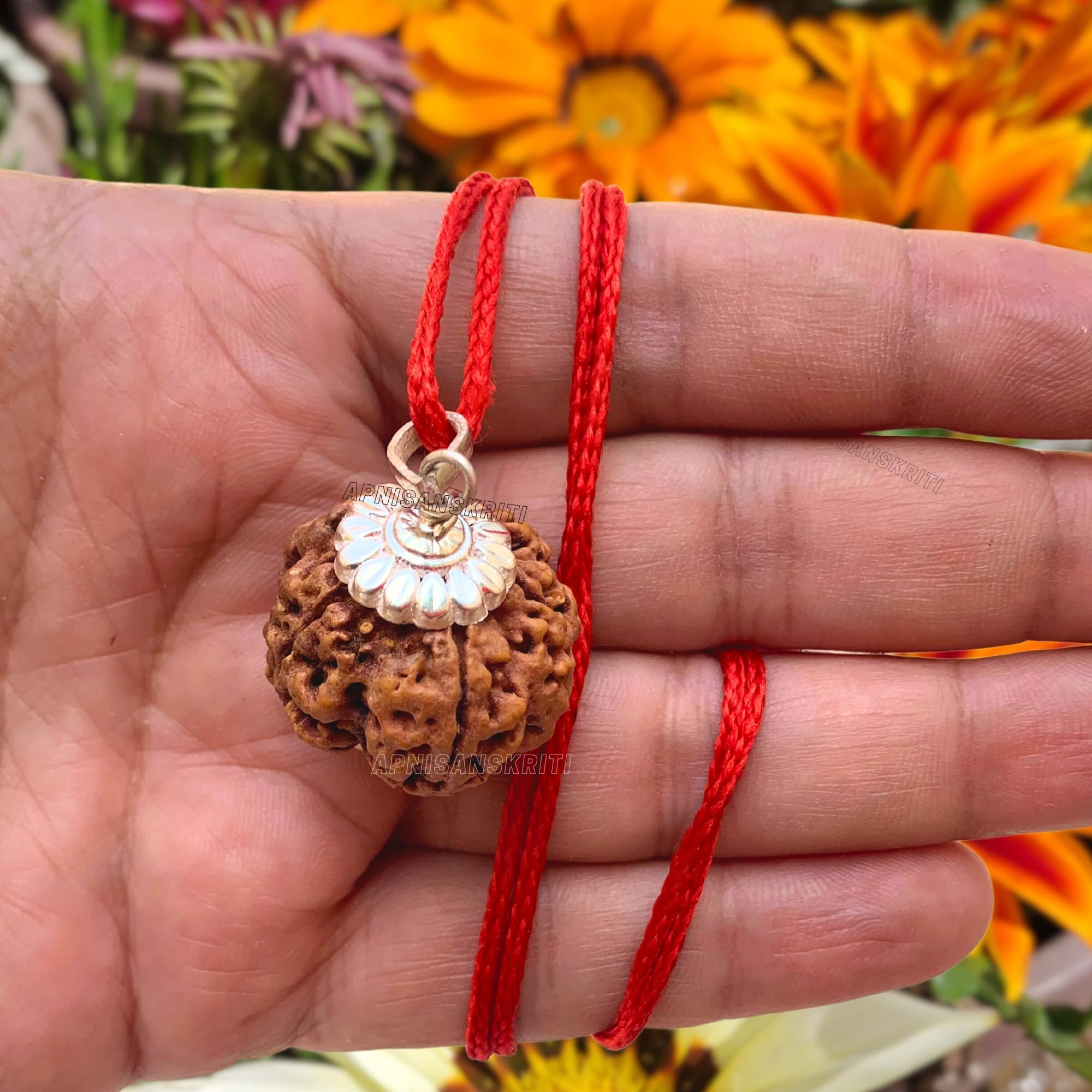 Apnisanskriti Certified Nepali 5 Mukhi Beads with Silver Cap - Natural Beads for Men and Women