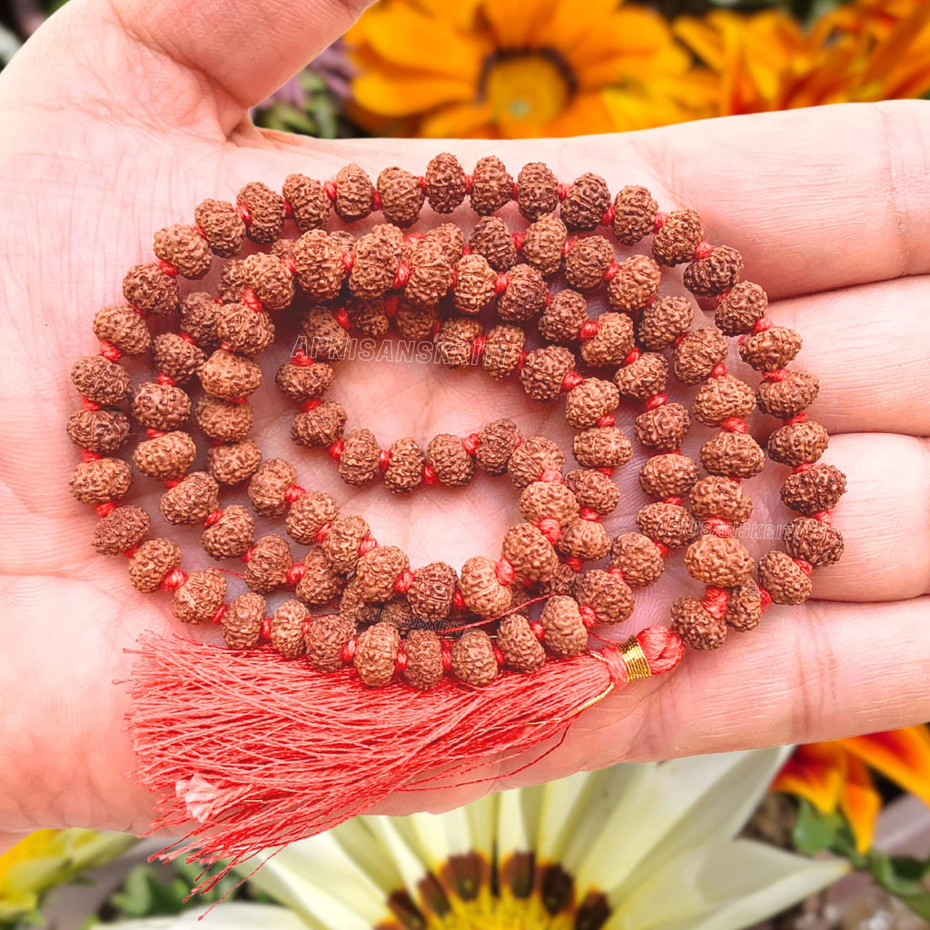 Apnisanskriti 2-10 Mukhi Rudraksha Beads Mala (108 Beads, Lab Certified) - Natural Rudraksha Beads - Pack of 1