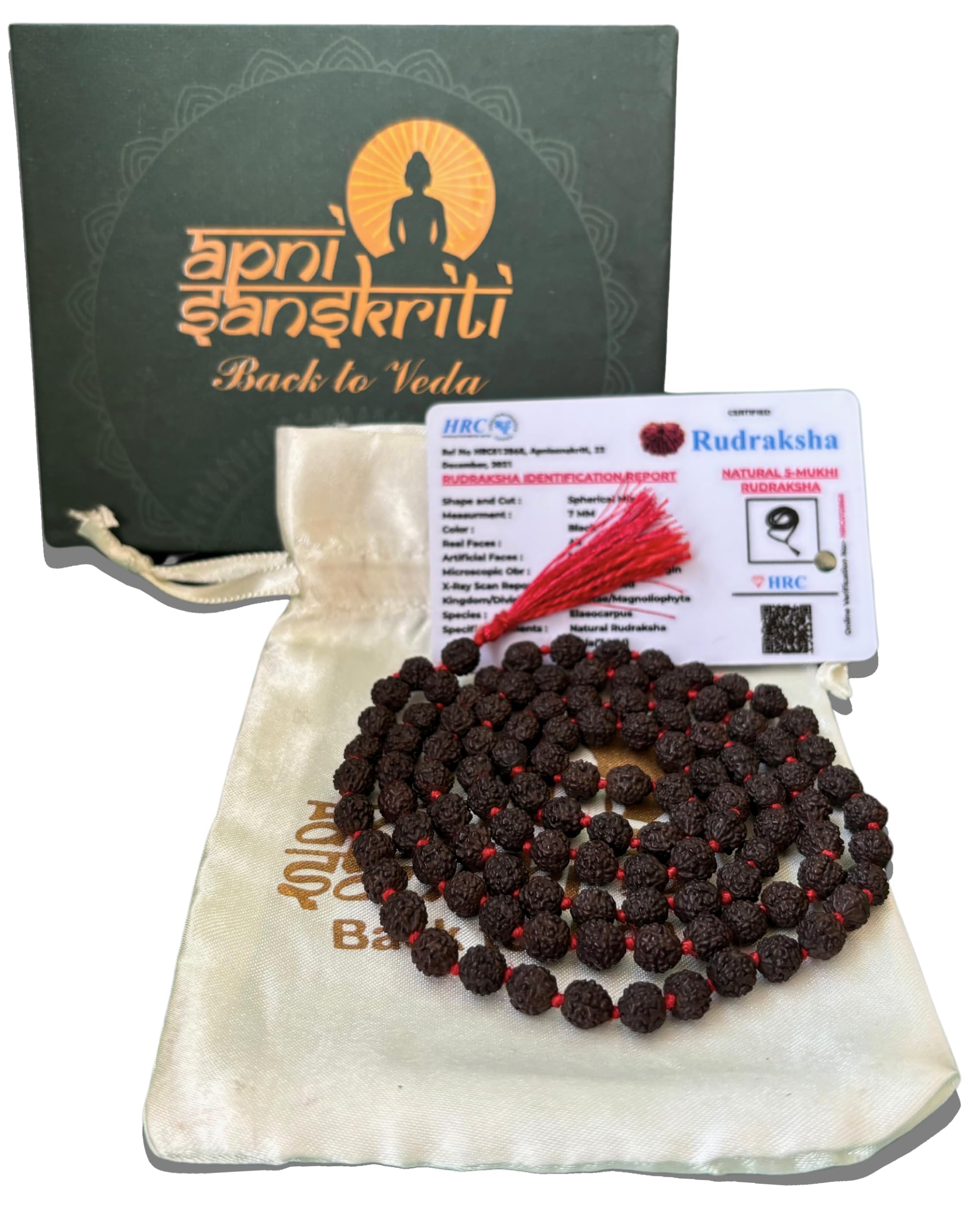 Apnisanskriti 5 Mukhi Black Rudraksha Mala (108+1 Beads, Lab Certified) Natural Black Rudraksha Beads