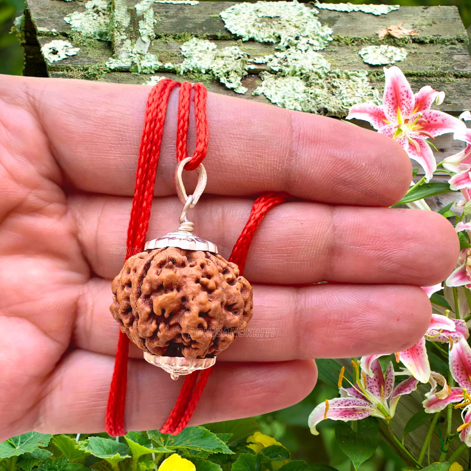 Apnisanskriti Certified Nepali 5 Mukhi Beads with Silver Cap - Natural Beads for Men and Women