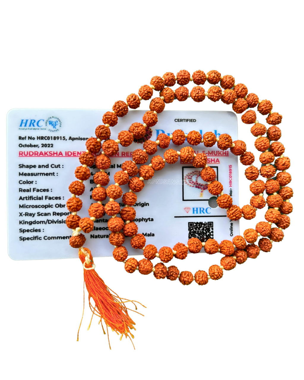Apnisanskriti 5 Mukhi Rudraksha Mala for Men/Women Wearing (108+1, Lab Certified, Natural Brown Rudraksha Beads)
