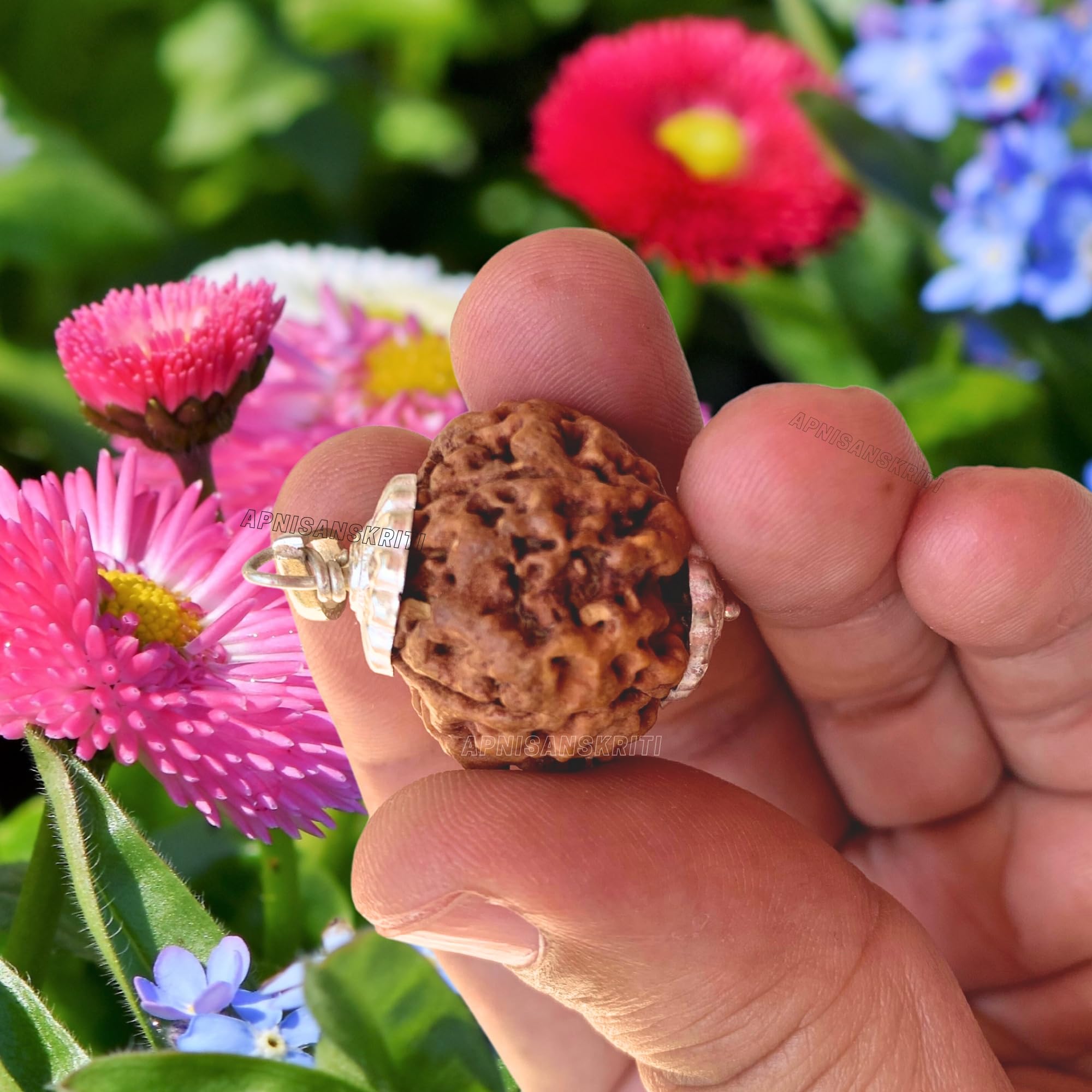 Apnisanskriti Certified Nepali 5 Mukhi Beads with Silver Cap - Natural Beads for Men and Women
