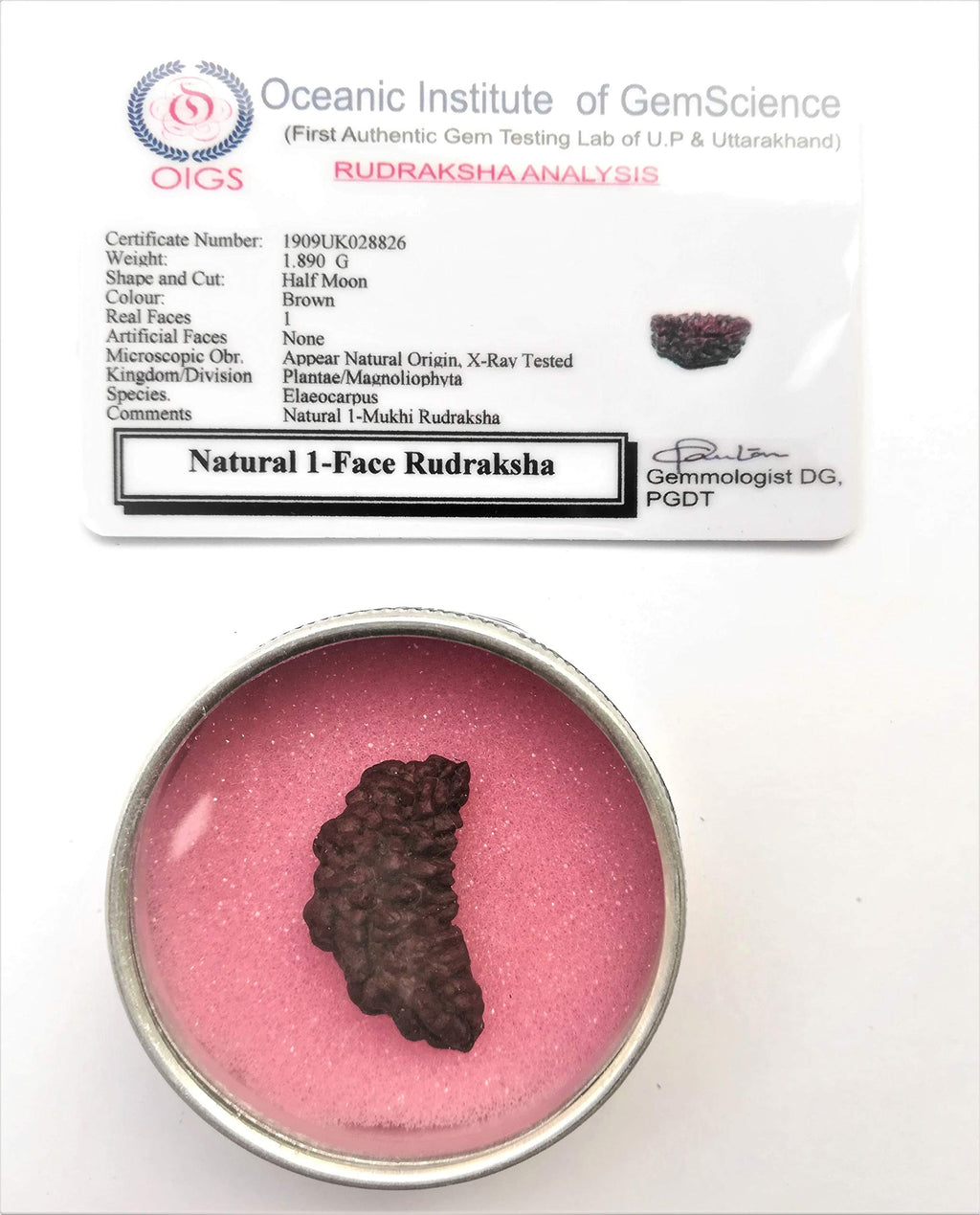 Apnisanskrit Lab Certified Ek Mukhi Black Rudraksha - Black - Rudraksh Bead- pack of 1