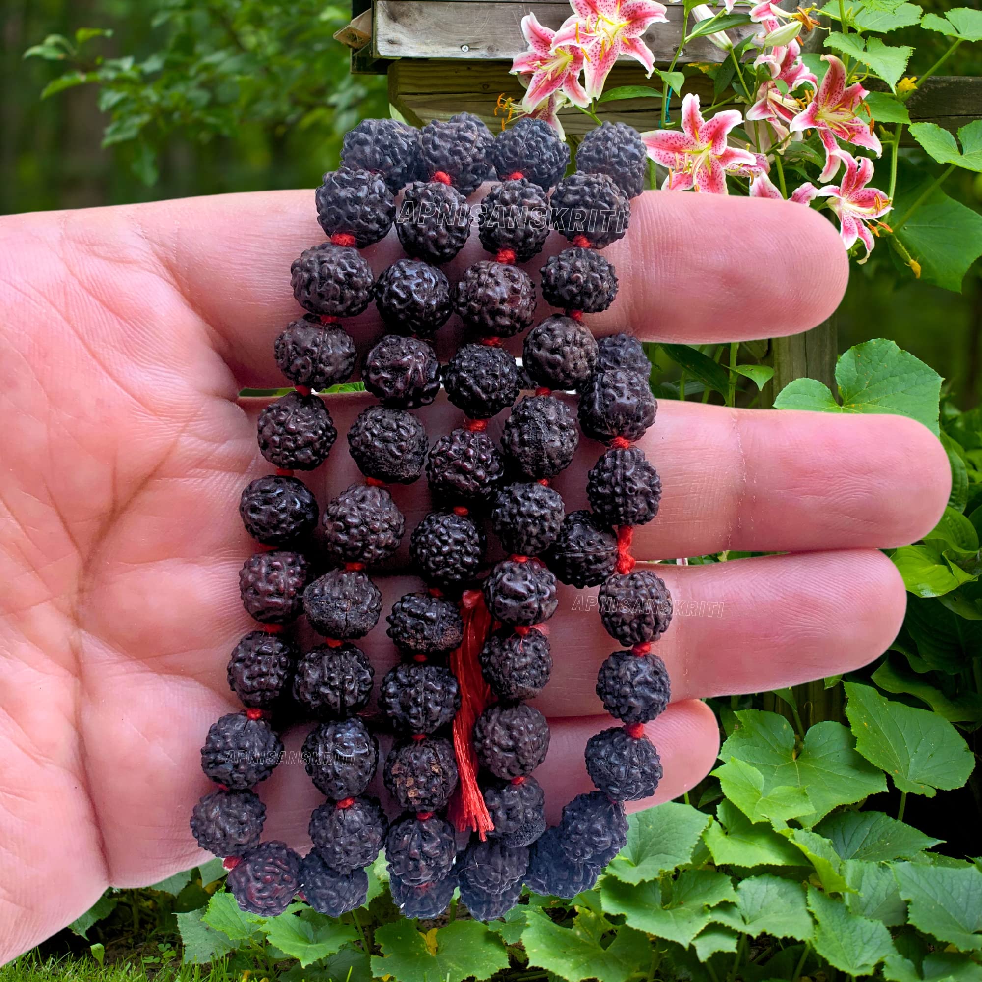 Apnisanskriti 5 Mukhi Black Rudraksha Mala (108+1 Beads, Lab Certified) Natural Black Rudraksha Beads