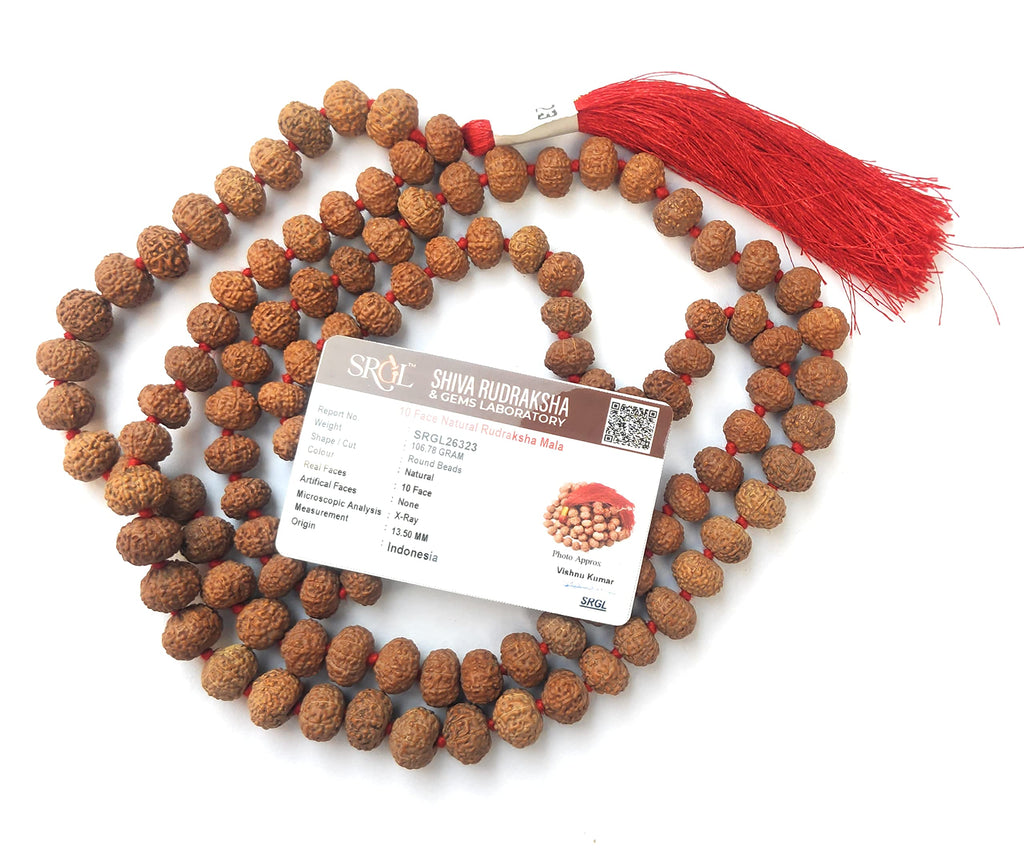 Apnisanskriti 10 Mukhi Rudraksha Beads Mala (13-15Mm, 108 Beads, 10 Faces, Lab Certified) - Natural Rudraksha Beads - Pack Of 1