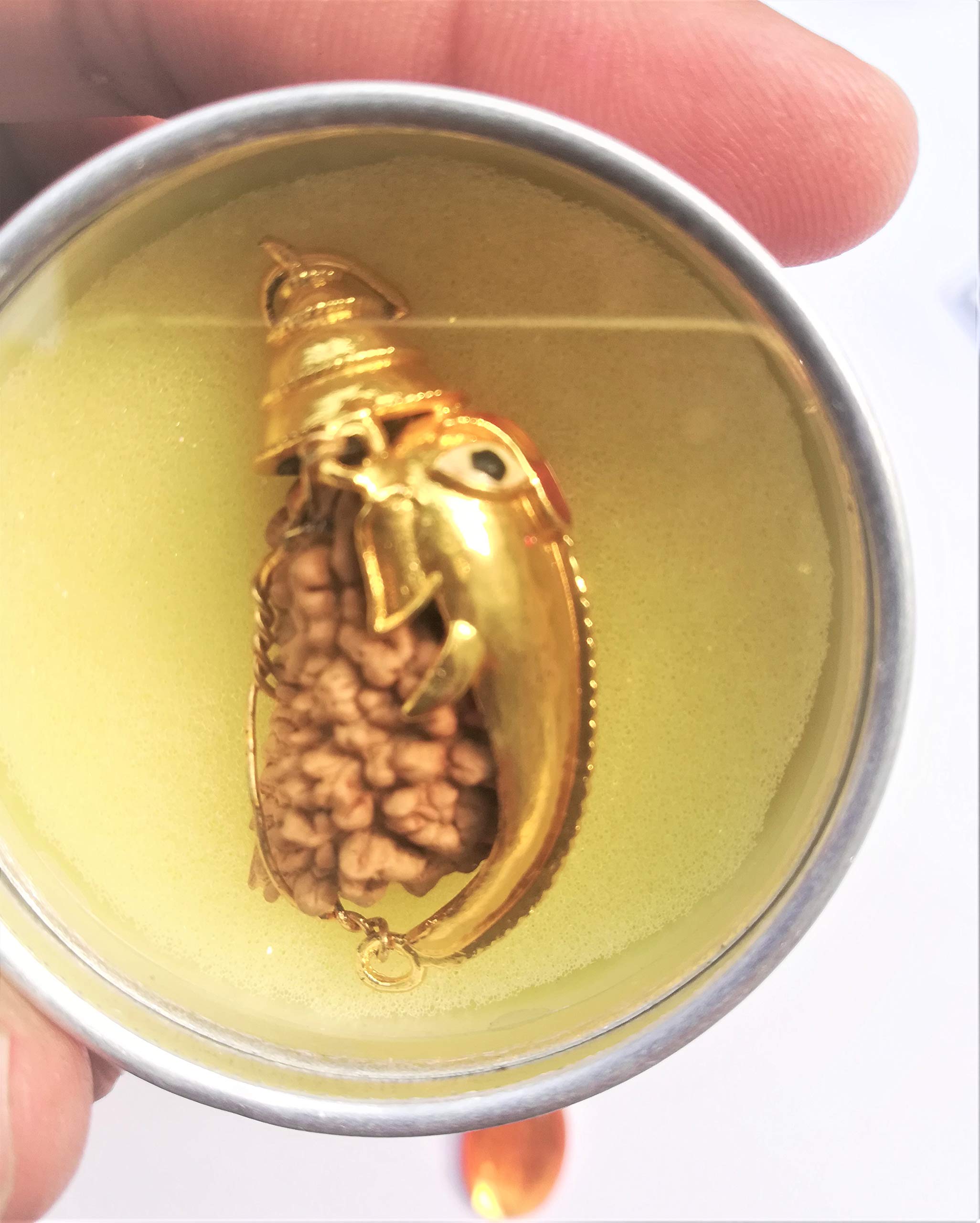 Apnisanskriti Ek Mukhi Rudraksha with Ganesha Padent- Brown - (One Face Rudraksh, Lab Certified) - pack of 1