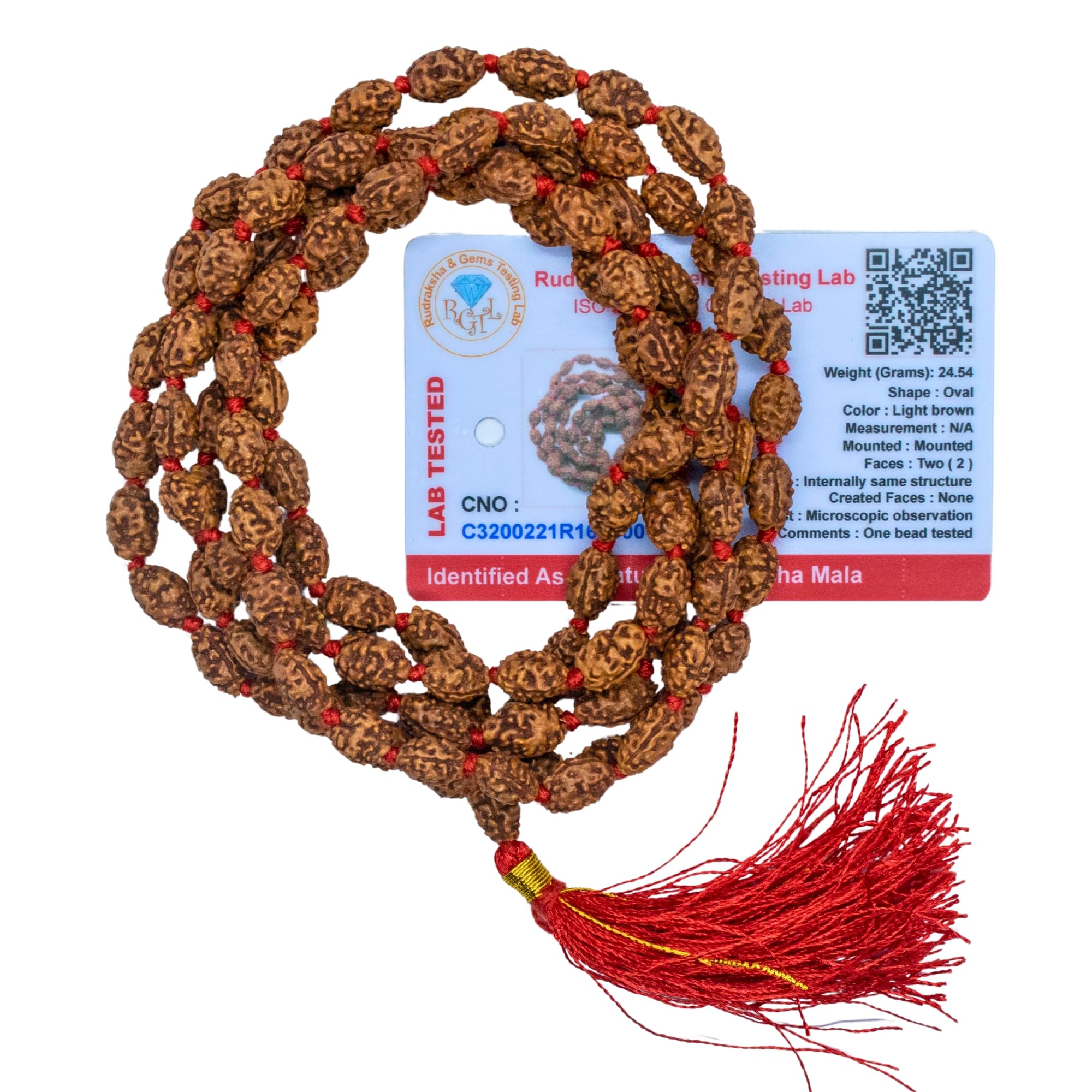 Apnisanskriti 2-10 Mukhi Rudraksha Beads Mala (108 Beads, Lab Certified) - Natural Rudraksha Beads - Pack of 1