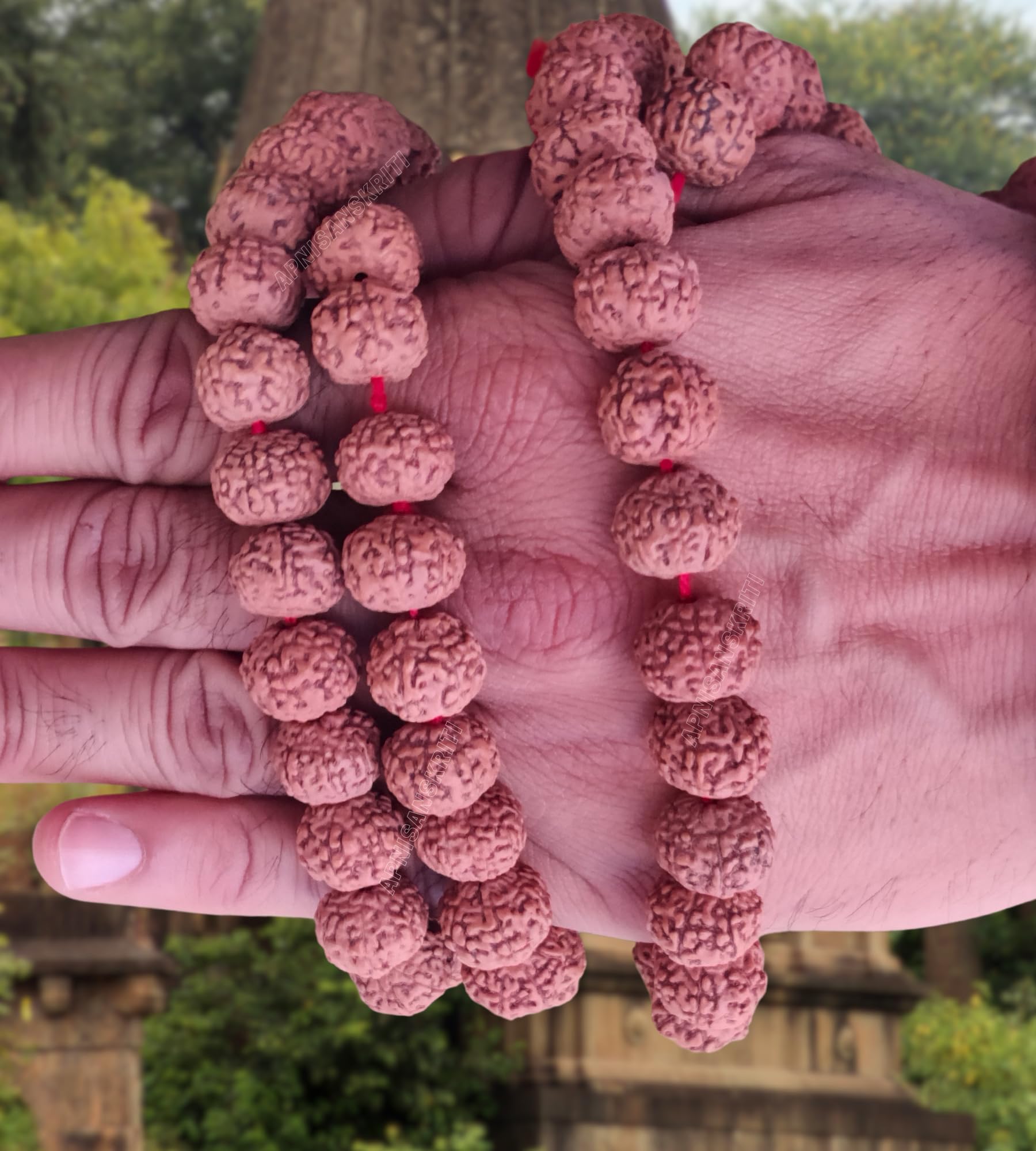 Apnisanskriti Premium 7 Mukhi Rudraksha Mala 13-15mm - Sacred Beads for Spiritual Harmony (Pack of 1)