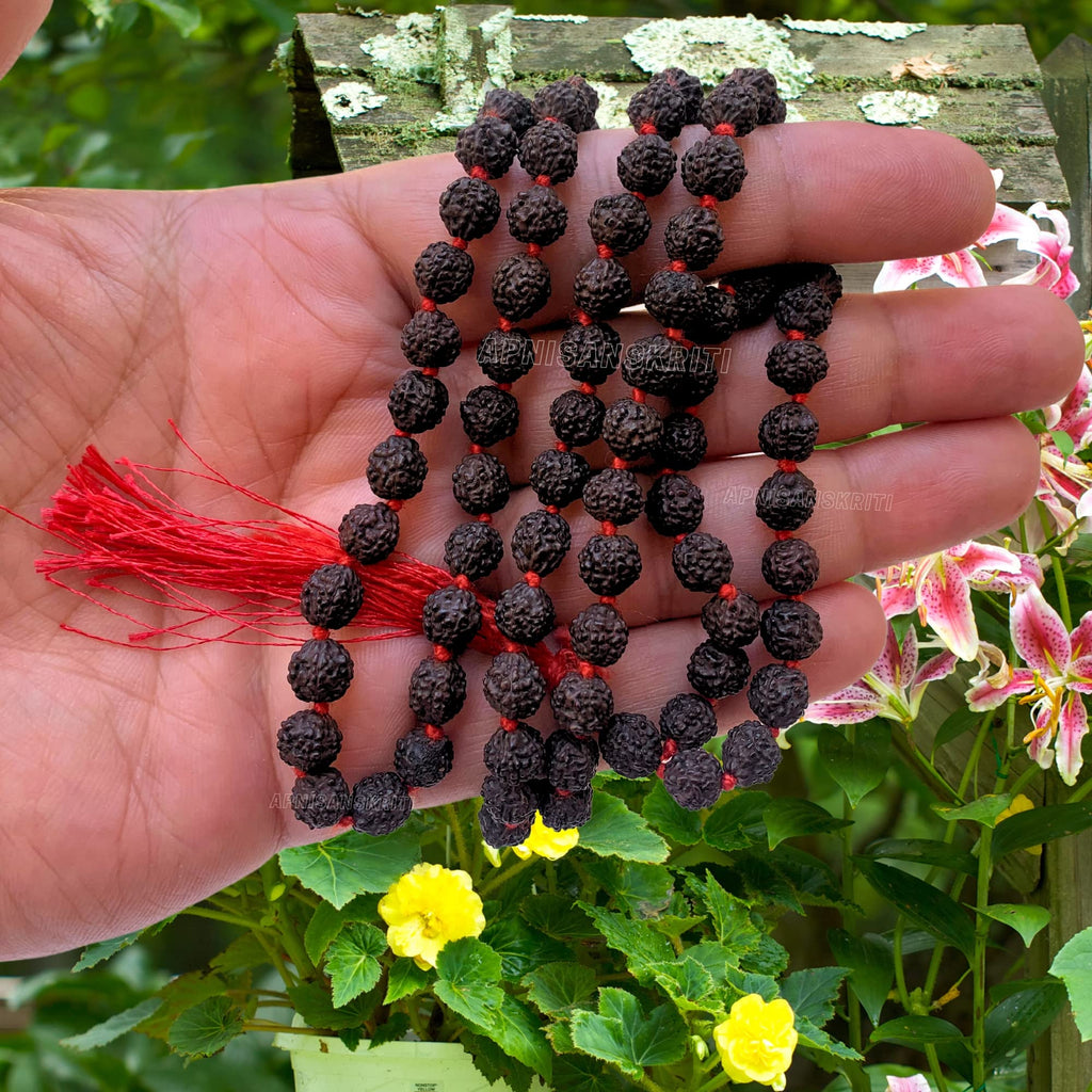Apnisanskriti 5 Mukhi Black Rudraksha Mala (108+1 Beads, Lab Certified) Natural Black Rudraksha Beads