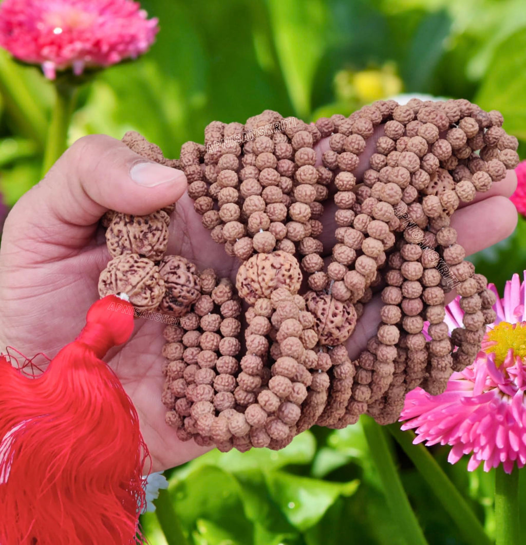Apnisanskriti Premium Rudrakasha Mala 1008 Beads Mala Premium (Nepali Quality) for Men and Women - Pack of 1