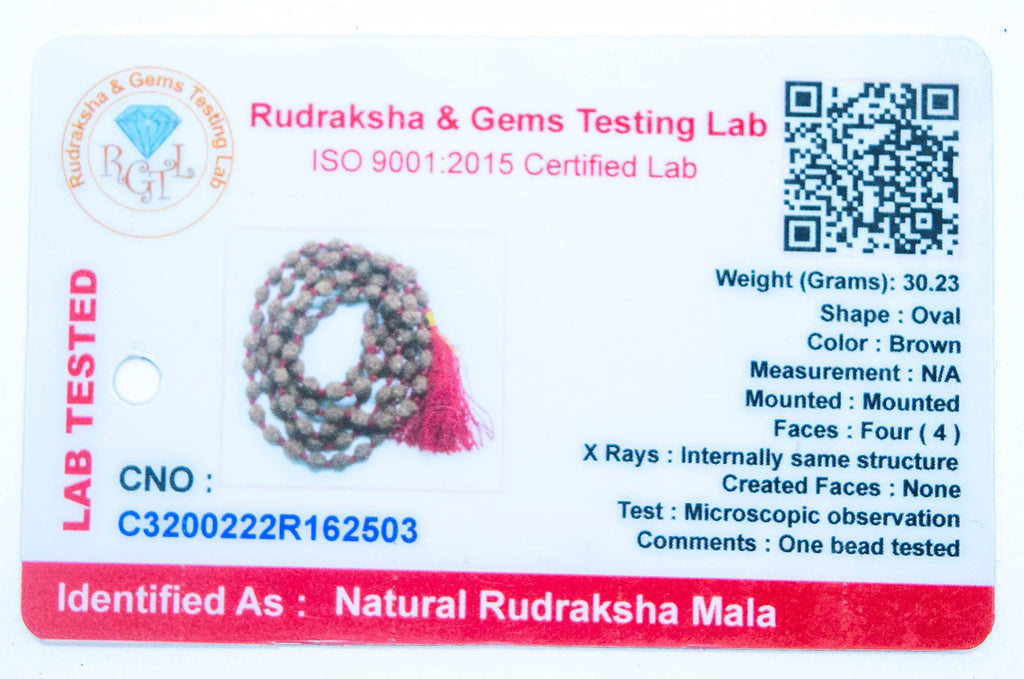 Apnisanskriti 2-10 Mukhi Rudraksha Beads Mala (108 Beads, Lab Certified) - Natural Rudraksha Beads - Pack of 1