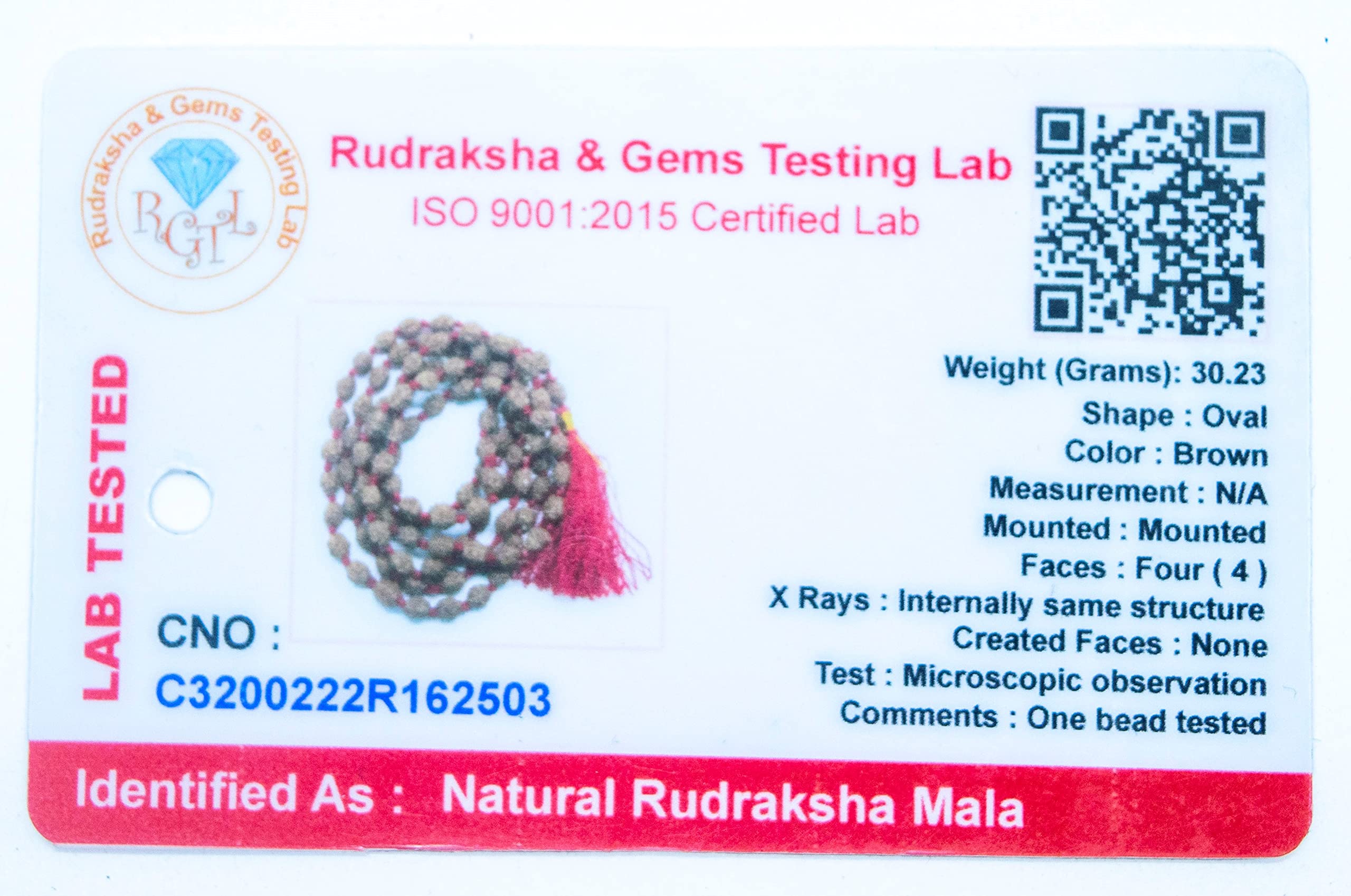 Apnisanskriti 2-10 Mukhi Rudraksha Beads Mala (108 Beads, Lab Certified) - Natural Rudraksha Beads - Pack of 1