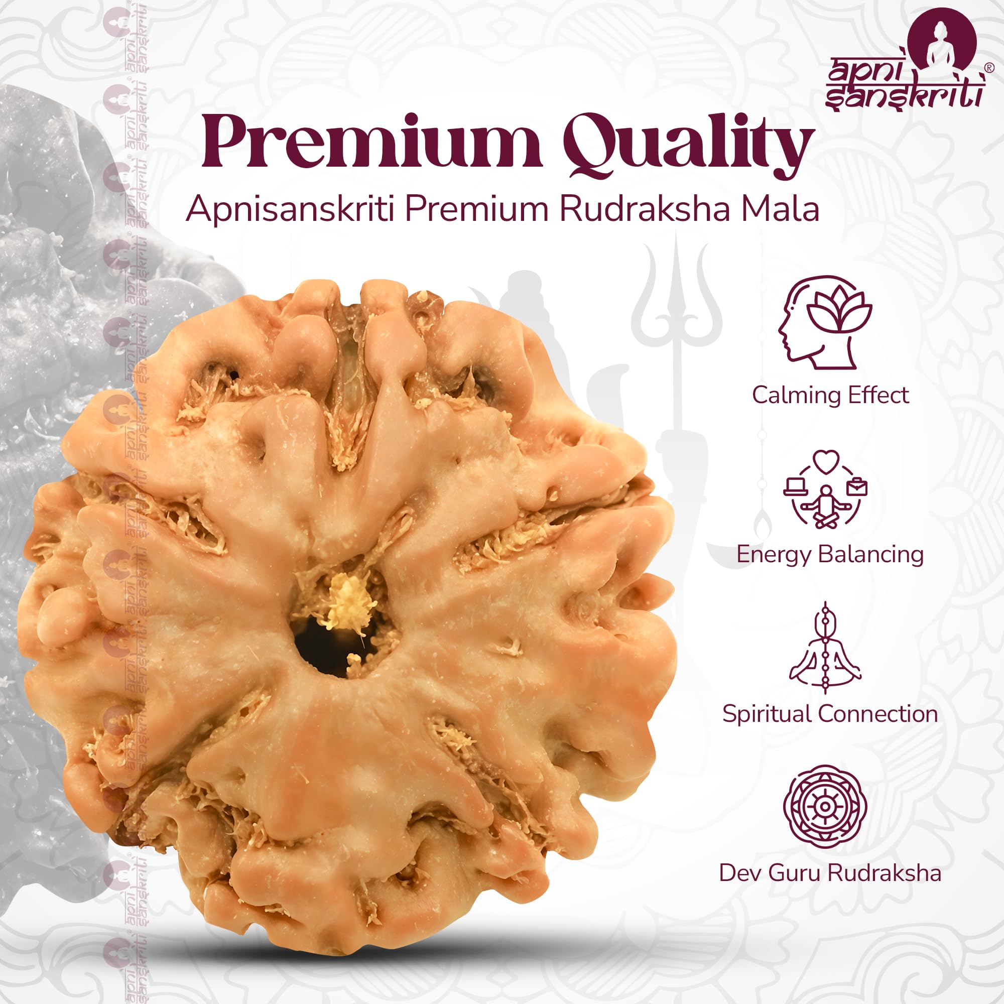 Apnisanskriti 5 Mukhi Chikni Pathri Rudraksha Mala For Jaap and Men/Women Wearing (12Mm, Lab Certified, Big Bead Size, 108+1) - A+ Grade - Pack Of 1