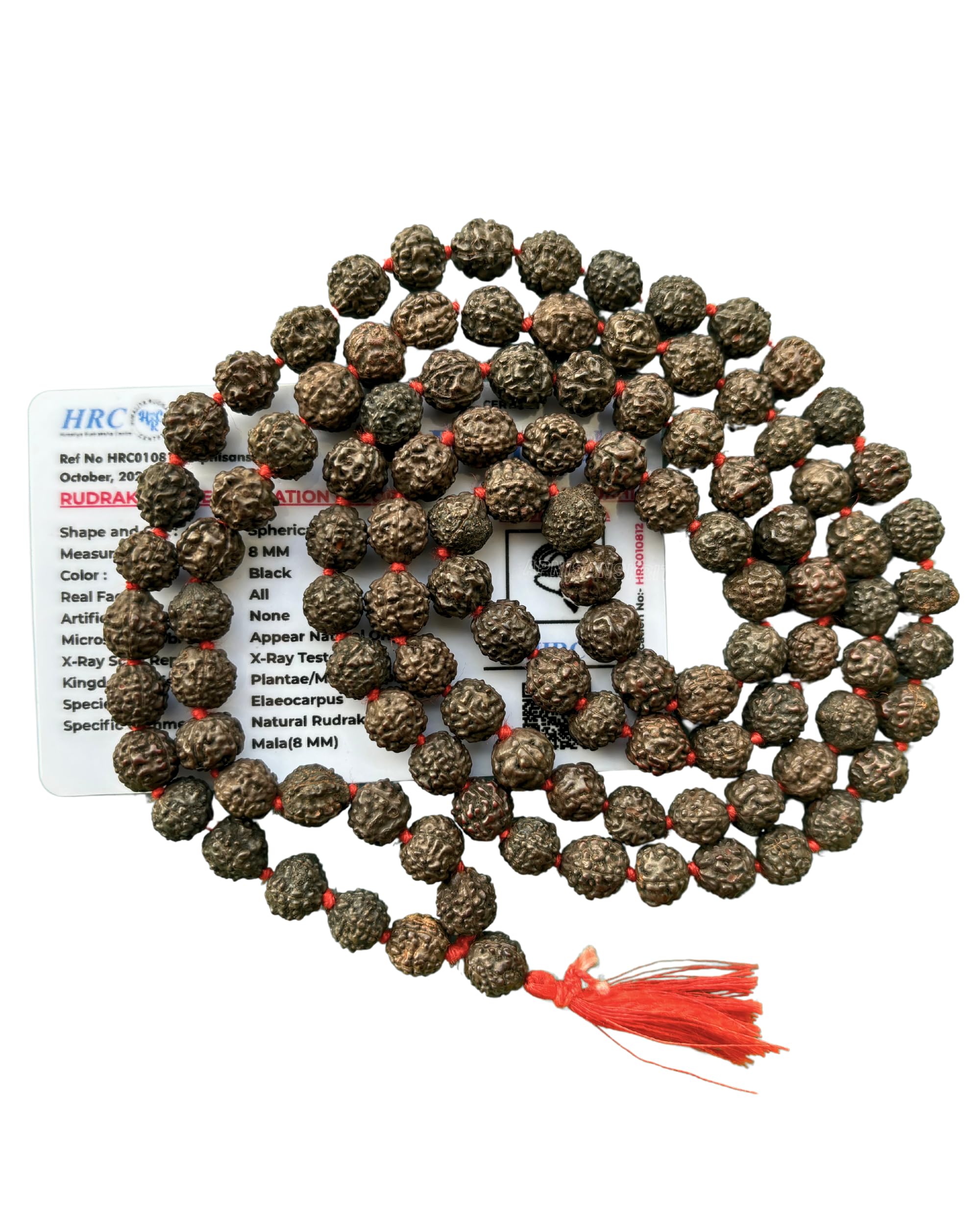 Apnisanskriti 5 Mukhi Black Rudraksha Mala (108+1 Beads, Lab Certified) Natural Black Rudraksha Beads