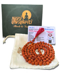 Apnisanskriti 5 Mukhi Rudraksha Mala for Men/Women Wearing (108+1, Lab Certified, Natural Brown Rudraksha Beads)