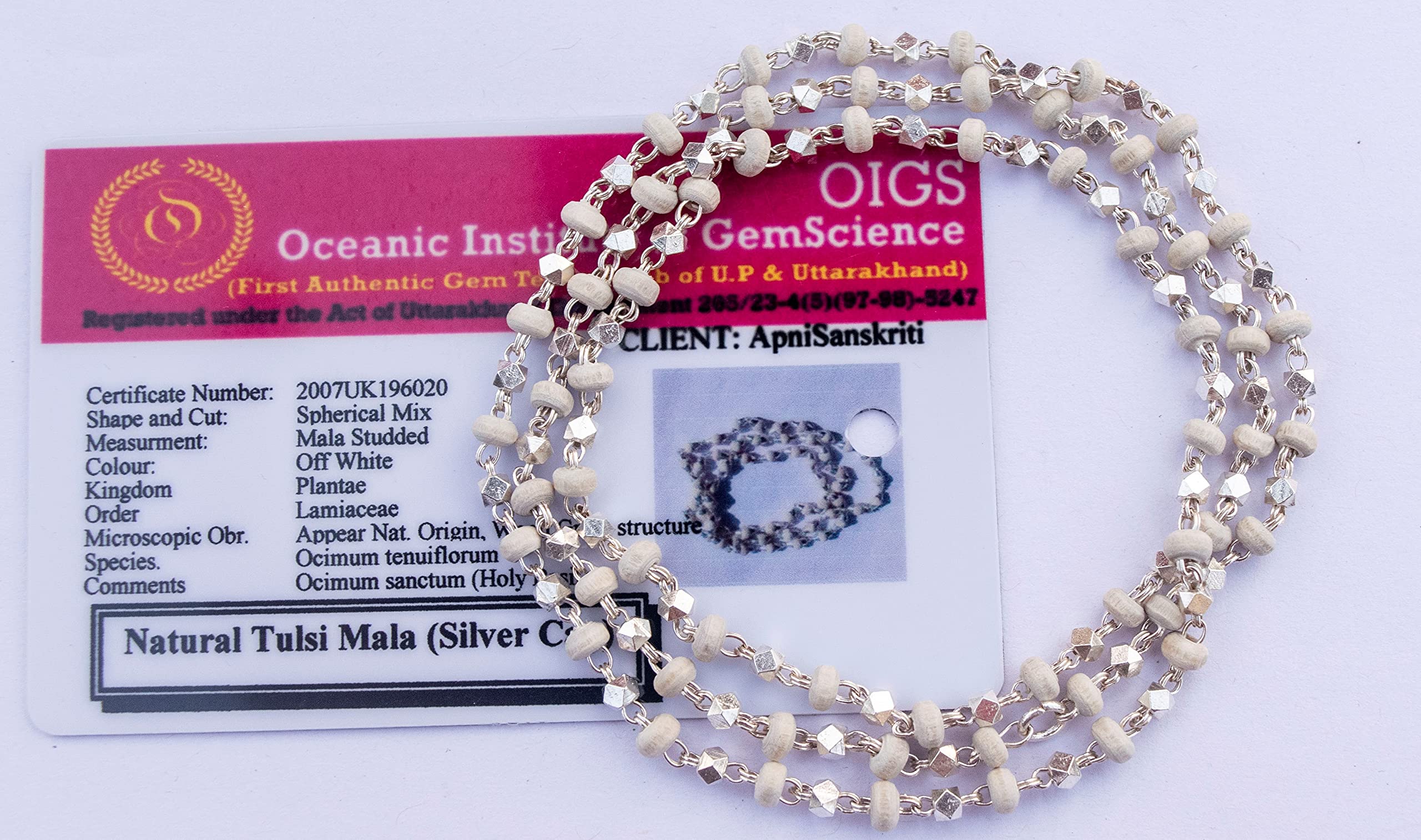 Apnisanskriti Black & White Tulsi Mala in Silver Designer Caps - Special Edition Big Size - Natural White Tulsi Beads - Pure Silver