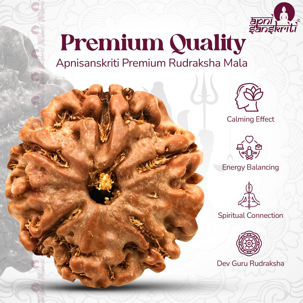 Apnisanskriti Certified Authentic Nepali Rudraksha Mala - Natural Beaded Necklace for Men and Women