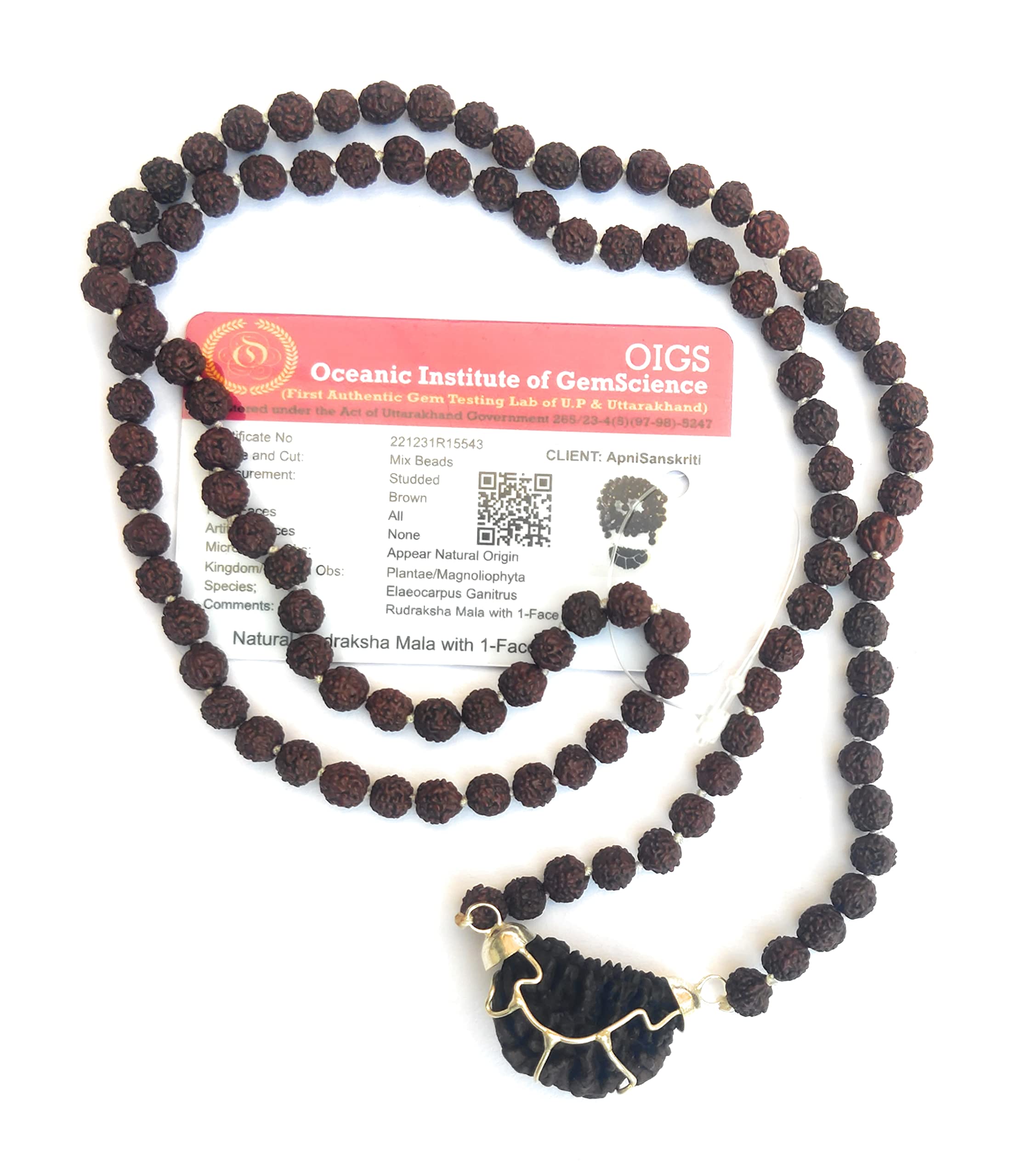 Apnisanskriti Ek Mukhi Black Rudraksha with Rudraksha Mala (7mm, 108+1 Beads, Lab Certified) - Natural Rudraksha Beads -Pack of 1