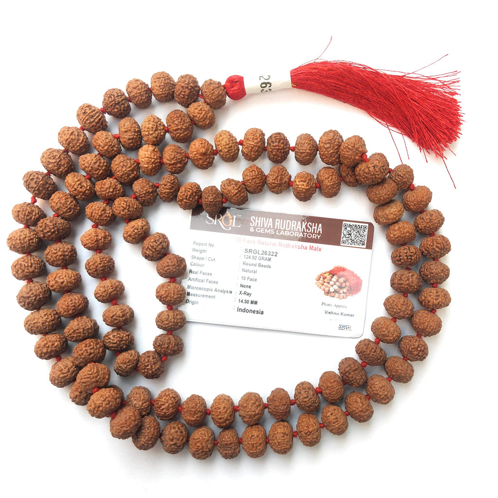 Apnisanskriti 10 Mukhi Rudraksha Beads Mala (13-15Mm, 108 Beads, 10 Faces, Lab Certified) - Natural Rudraksha Beads - Pack Of 1