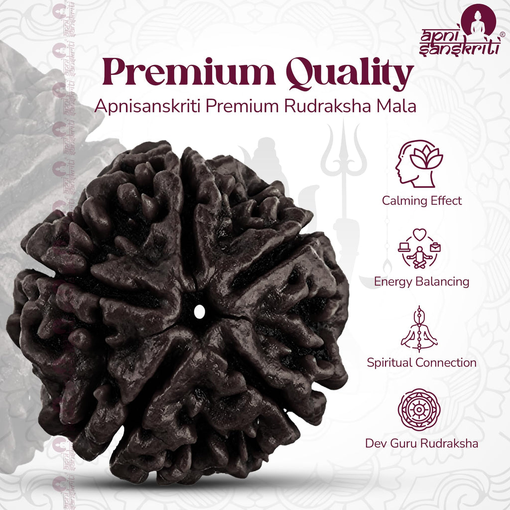 Apnisanskriti Black Rudraksha Mala (8 mm, Chest length, 108+1 Beads, Lab Certified) - Natural Black Rudraksha Beads - Pack of 1