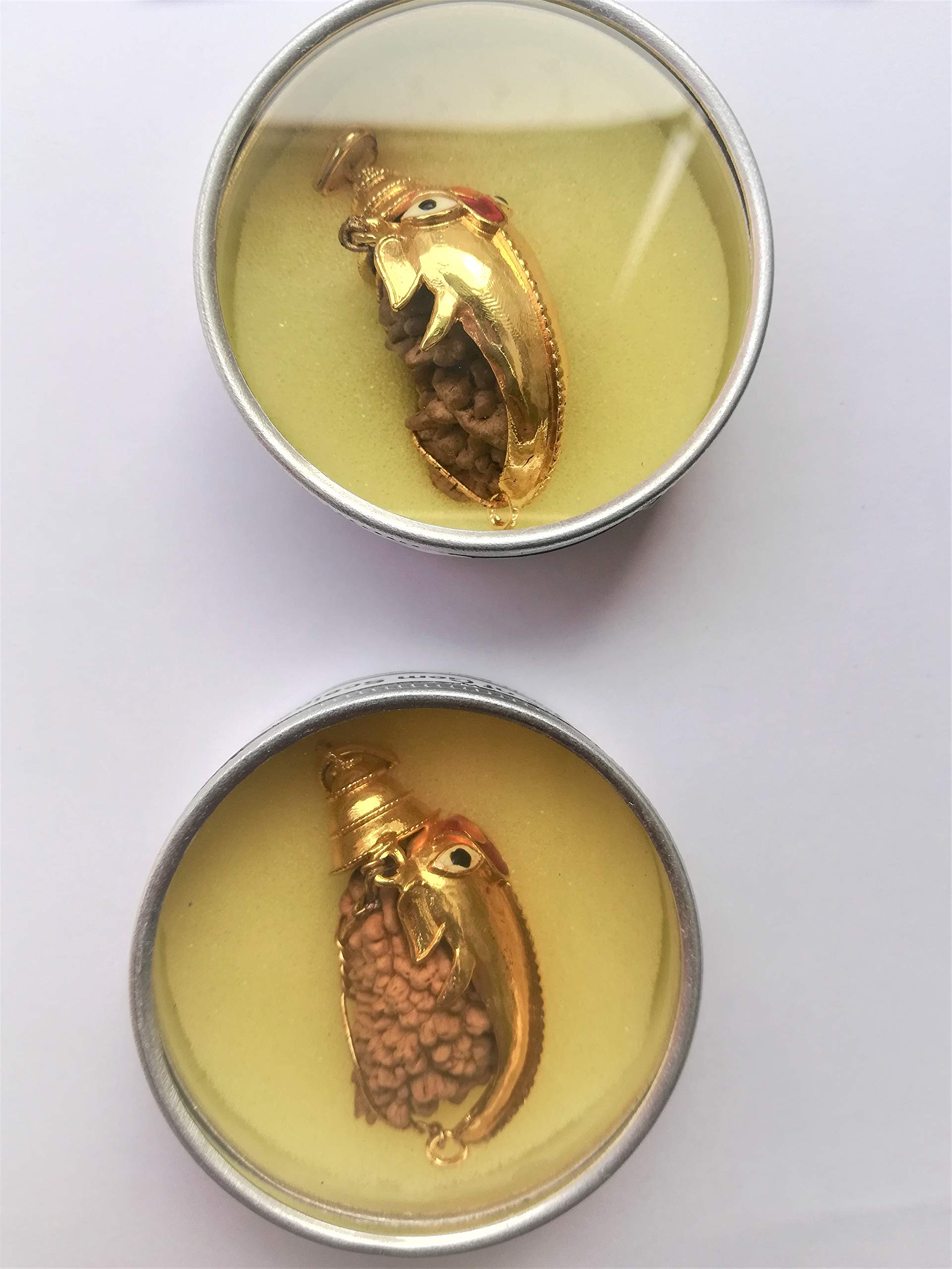 Apnisanskriti Ek Mukhi Rudraksha with Ganesha Padent- Brown - (One Face Rudraksh, Lab Certified) - pack of 1