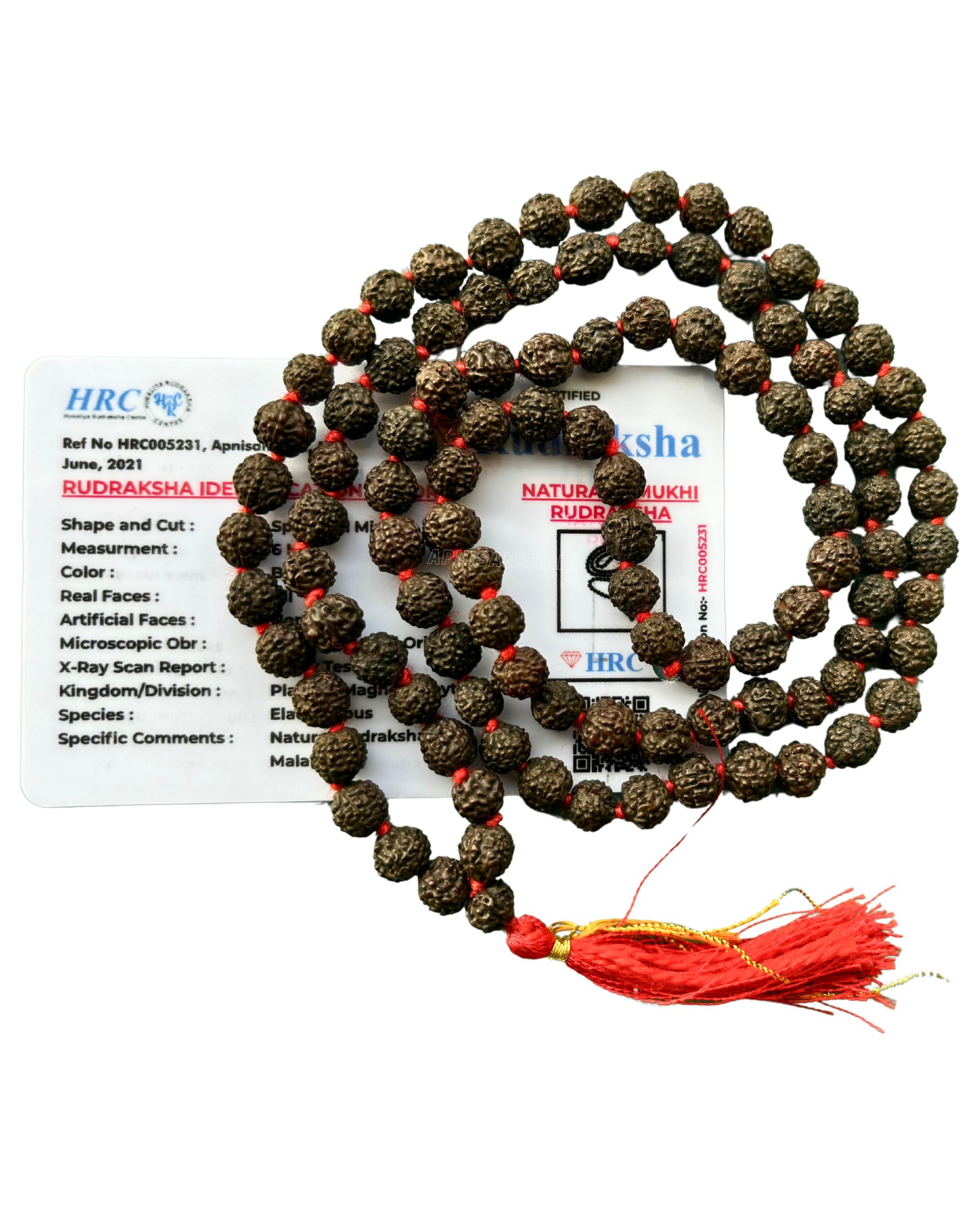 Apnisanskriti 5 Mukhi Black Rudraksha Mala (108+1 Beads, Lab Certified) Natural Black Rudraksha Beads