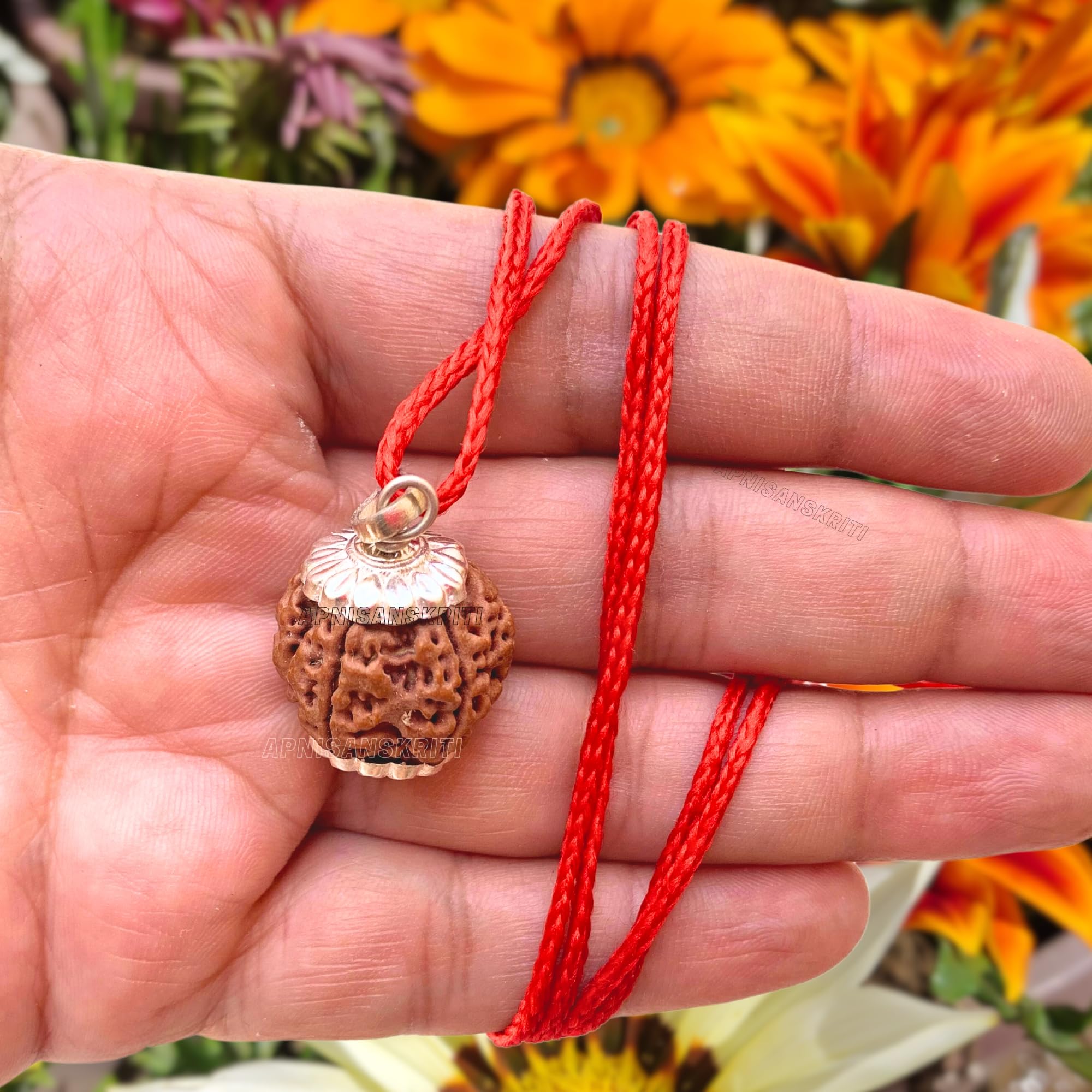 Apnisanskriti Certified Nepali 5 Mukhi Beads with Silver Cap - Natural Beads for Men and Women