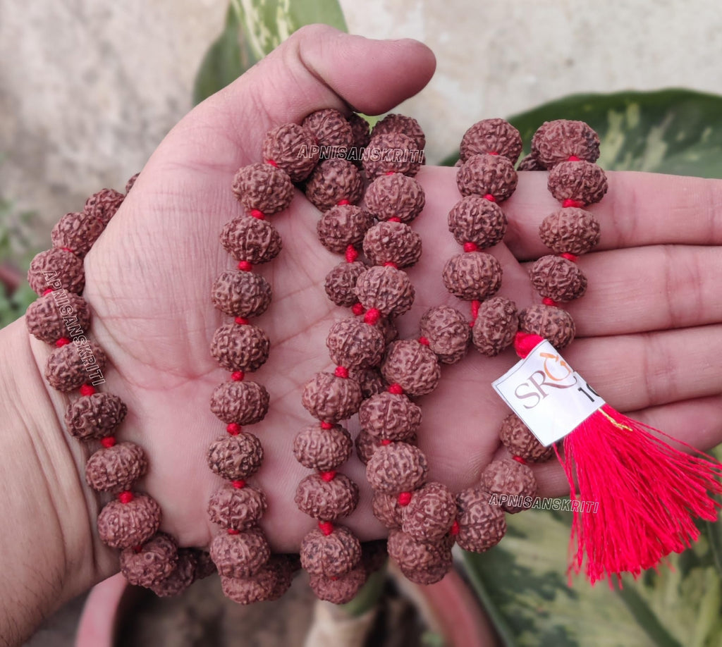 Apnisanskriti 8 Mukhi Rudraksha Mala 14-15mm - Enhance Spiritual Harmony and Healing (Pack of 1)