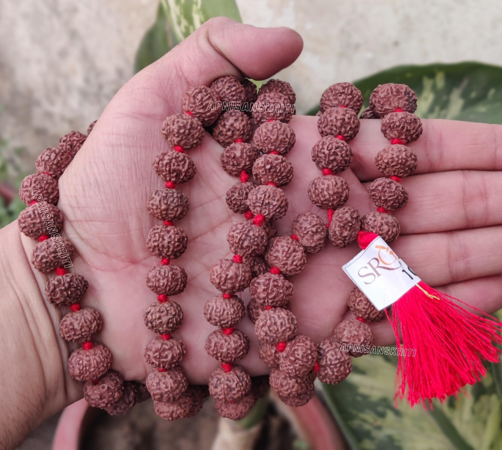 Apnisanskriti 8 Mukhi Rudraksha Mala 14-15mm - Enhance Spiritual Harmony and Healing (Pack of 1)
