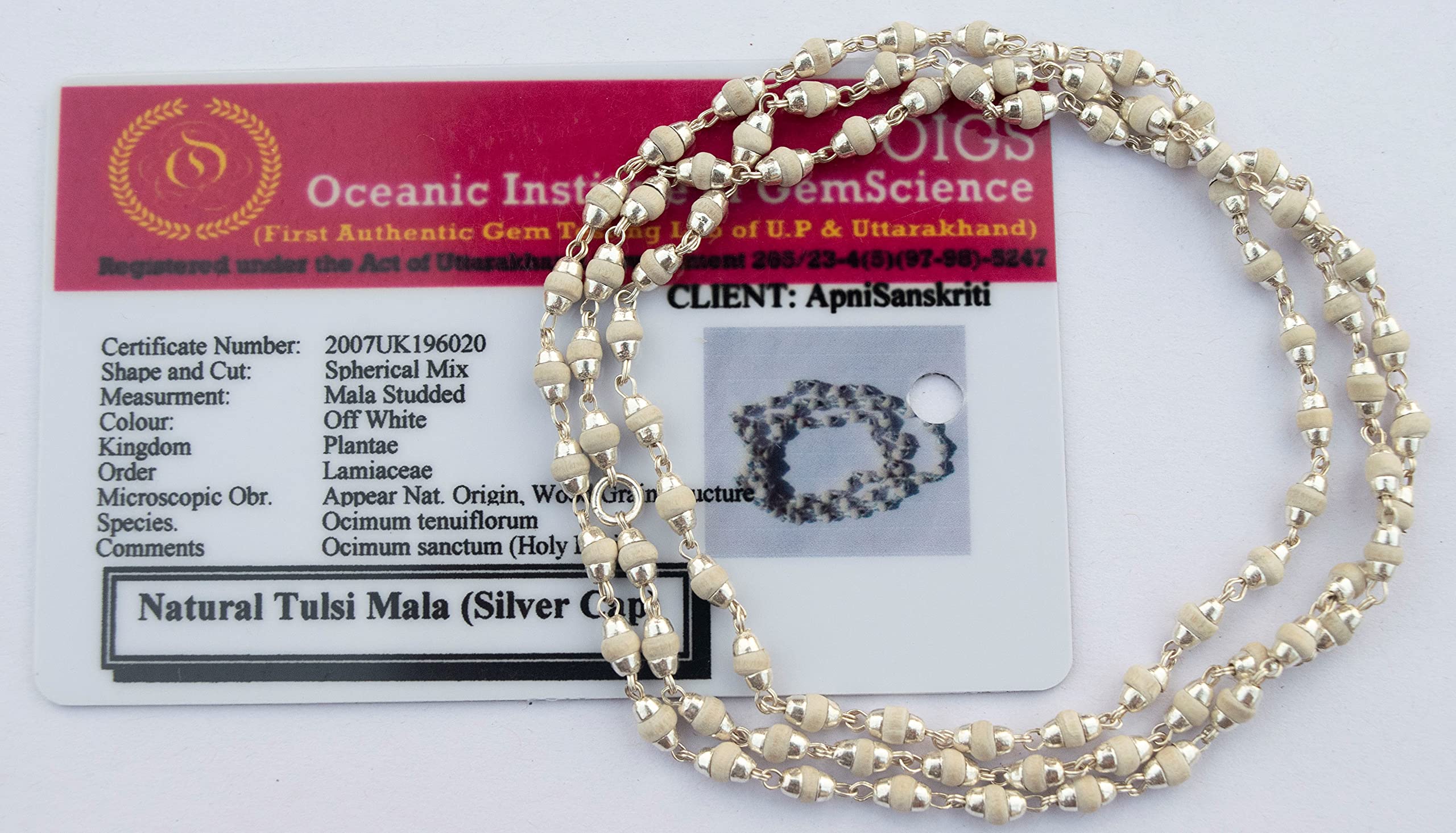 Apnisanskriti Black & White Tulsi Mala in Silver Designer Caps - Special Edition Big Size - Natural White Tulsi Beads - Pure Silver