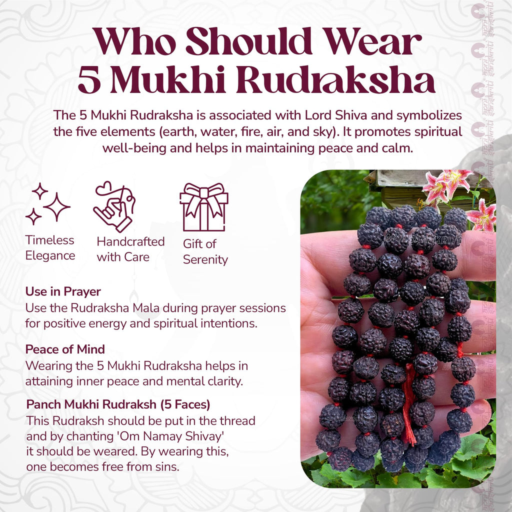 Apnisanskriti Black Rudraksha Mala (8 mm, Chest length, 108+1 Beads, Lab Certified) - Natural Black Rudraksha Beads - Pack of 1