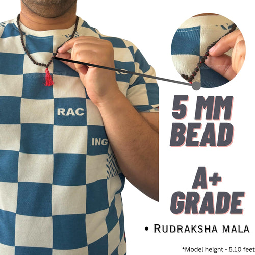 Apnisanskriti 5 Mukhi Black Rudraksha Mala (108+1 Beads, Lab Certified) Natural Black Rudraksha Beads