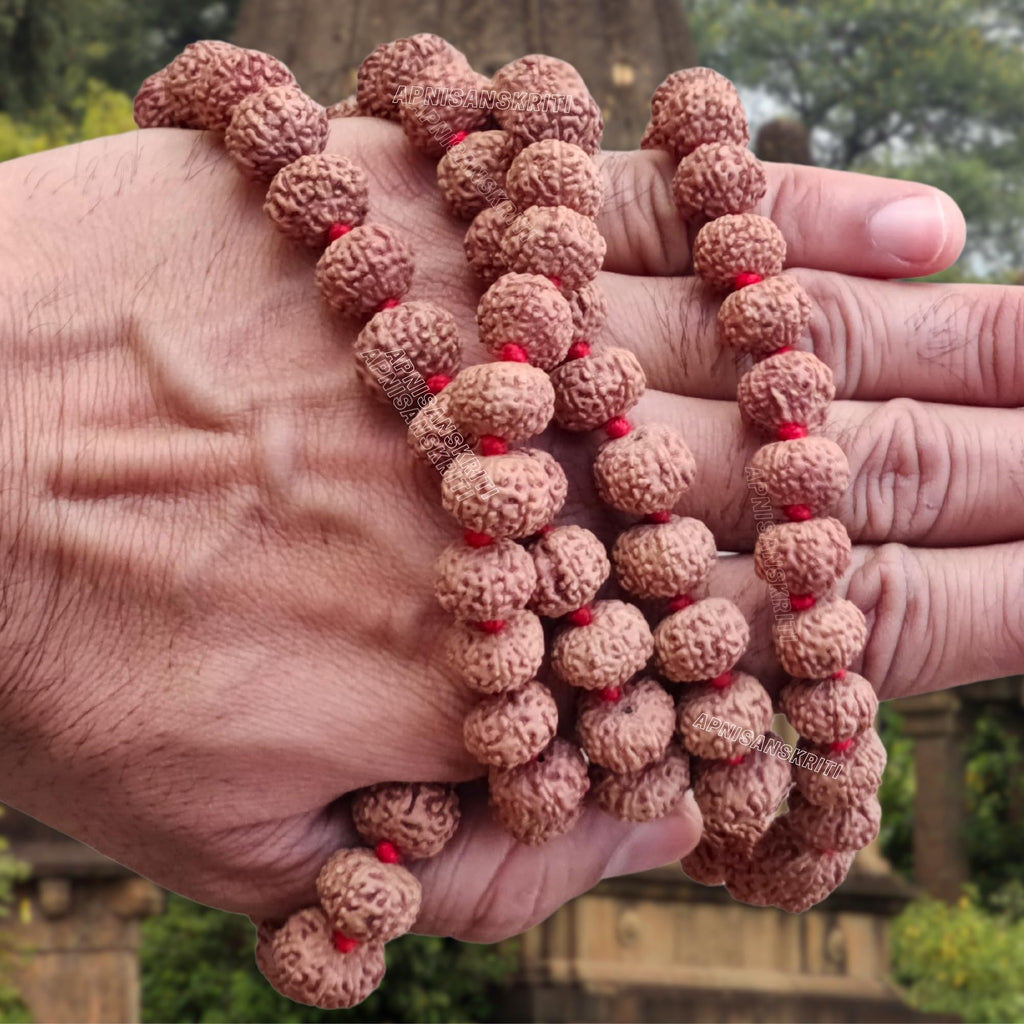 Apnisanskriti 9 Mukhi Rudraksha Mala 14-15mm - Spiritual Harmony and Healing Beads (Pack of 1)