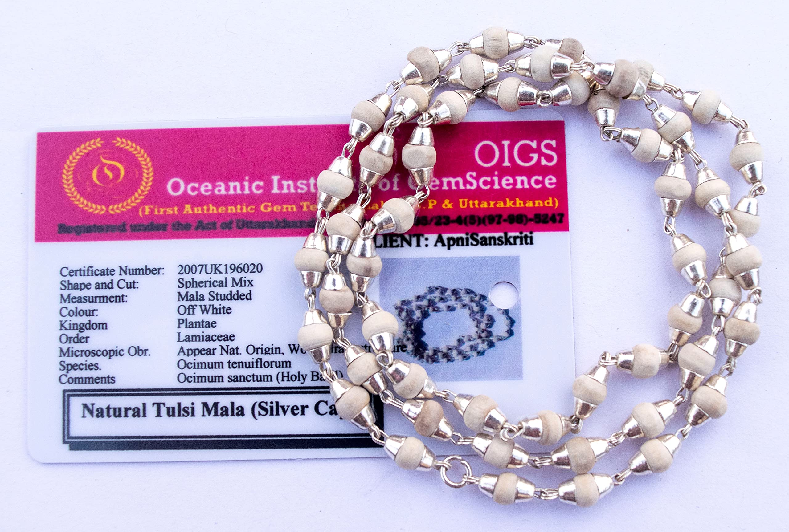 Apnisanskriti Black & White Tulsi Mala in Silver Designer Caps - Special Edition Big Size - Natural White Tulsi Beads - Pure Silver